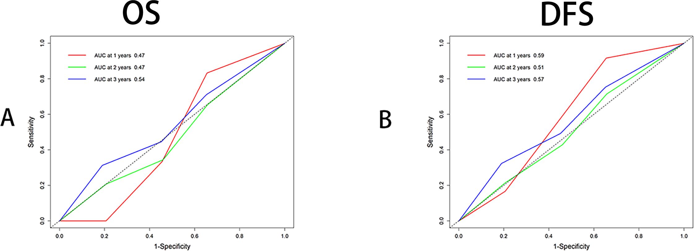 Two ROC curves are depicted: A for Overall Survival (OS) and B for Disease-Free Survival (DFS). Each graph shows red, green, and blue lines representing AUC values at one, two, and three years, respectively. OS graph A displays AUC values of 0.47, 0.47, and 0.54. DFS graph B has AUC values of 0.59, 0.51, and 0.57. Sensitivity is plotted against one minus specificity for both.