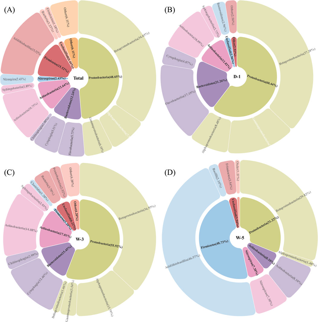 Four circular charts labeled A, B, C, and D show bacterial phylum distributions. Chart A indicates Proteobacteria at 48.65%. Chart B shows a higher percentage of Bacteroidetes. Chart C highlights 55.92% Proteobacteria. Chart D shows Firmicutes at 46.73%. Each chart displays various taxa with color-coded sections and percentages.