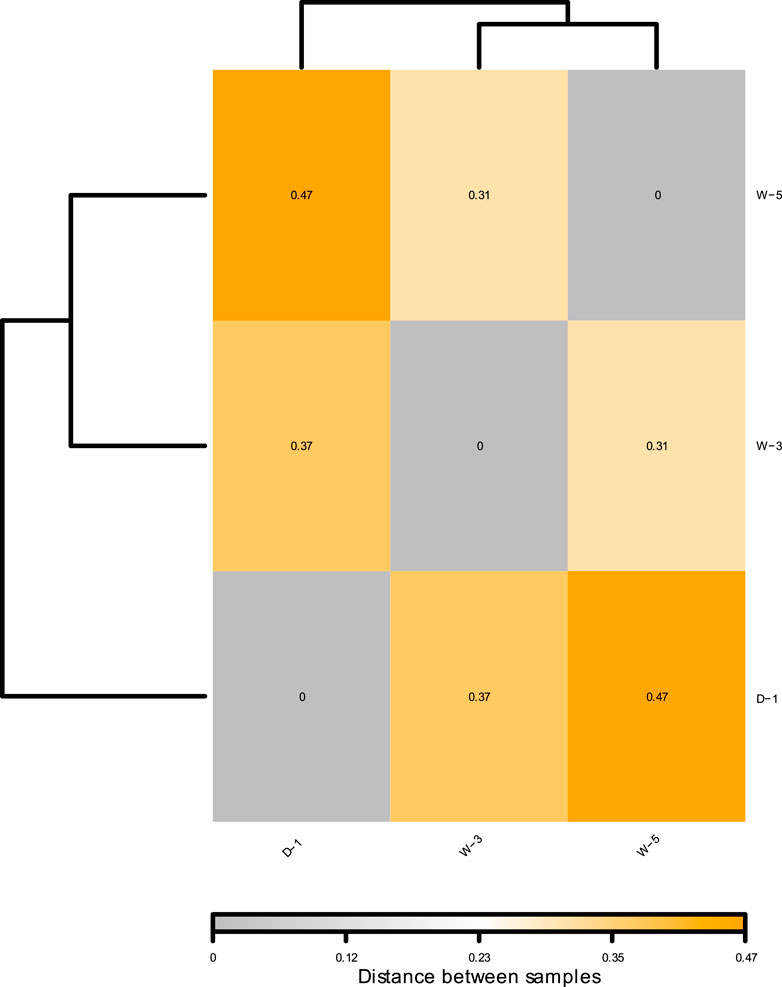 Heatmap displaying distances between samples D-1, W-3, and W-5, with a color scale from light to dark orange indicating increasing distance values. Values range from 0 to 0.47. A dendrogram is shown on the left, grouping similar samples.