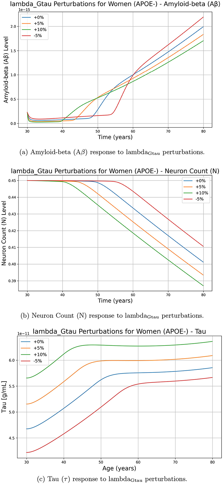 Three graphs display the impact of lambda_Gtau perturbations on women (APOE-). Graph (a) shows amyloid-beta levels increasing for perturbations from –5% to +10% over 30 to 80 years. Graph (b) displays neuron count decreasing, with the steepest decline at +10%. Graph (c) illustrates tau levels increasing, with +10% perturbation showing the highest level. Each graph uses colored lines to indicate perturbation levels.