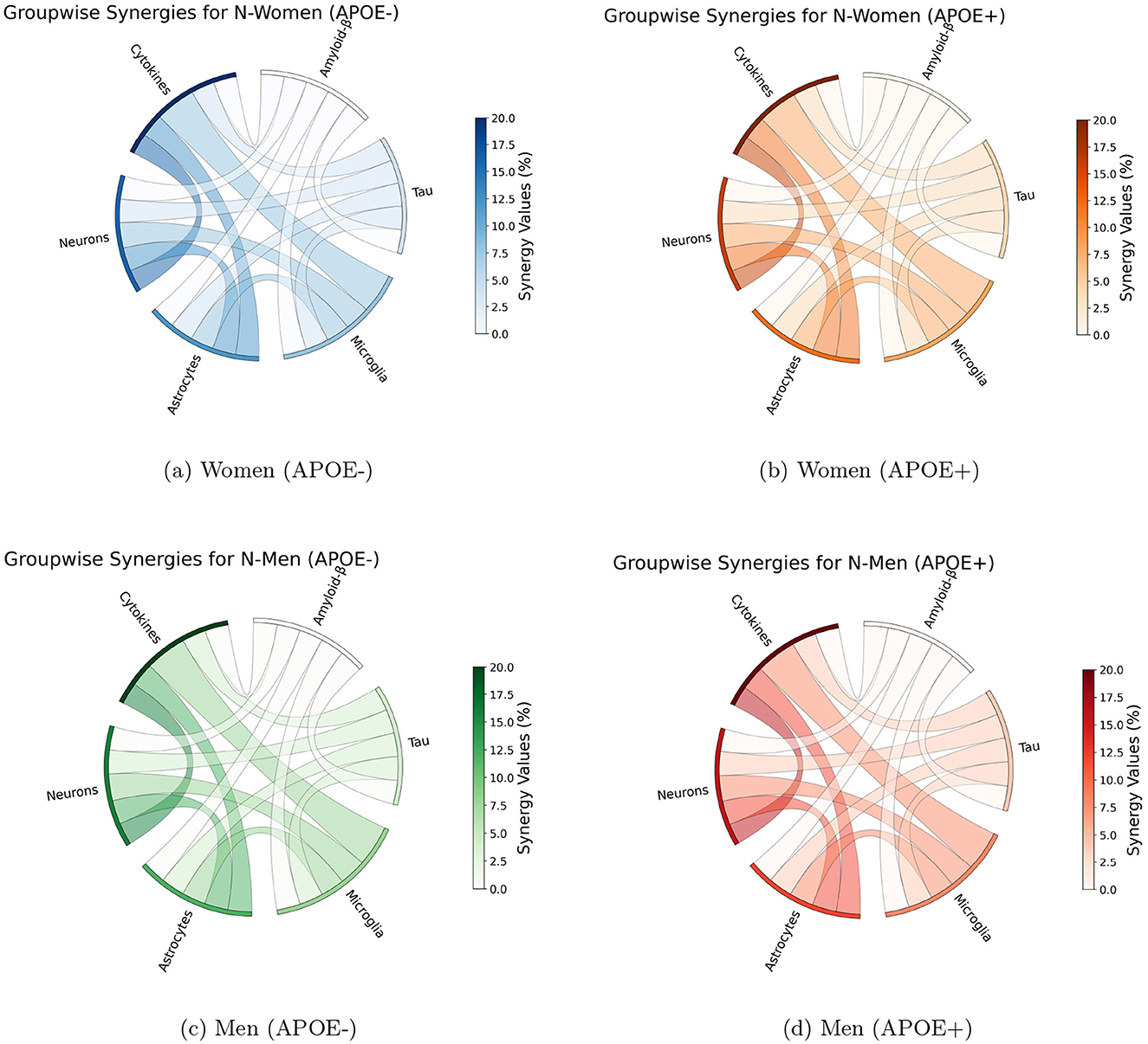 Four circular chord diagrams display groupwise synergies among neurons, astrocytes, microglia, cytokines, amyloid-beta, and tau. Diagrams are divided by gender and APOE status: (a) Women (APOE-) in blue, (b) Women (APOE+) in orange, (c) Men (APOE-) in green, and (d) Men (APOE+) in red. Color intensity represents synergy values ranging from zero to twenty percent.