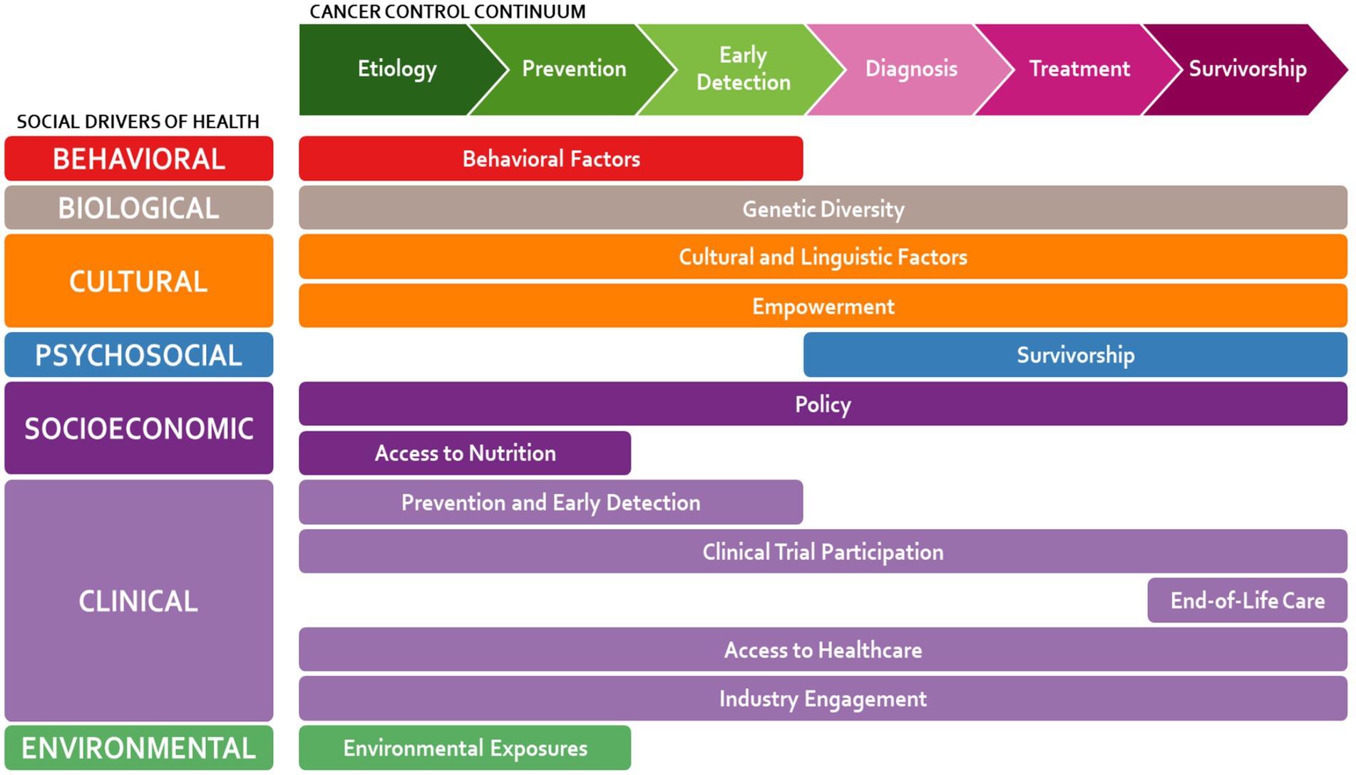 Flowchart depicting the cancer control continuum and social drivers of health. The continuum includes etiology, prevention, early detection, diagnosis, treatment, and survivorship stages. Social drivers are categorized as behavioral, biological, cultural, psychosocial, socioeconomic, clinical, and environmental, each influencing different continuum stages. Specific factors include behavioral factors, genetic diversity, cultural and linguistic factors, empowerment, survivorship, policy, access to nutrition, clinical trial participation, access to healthcare, industry engagement, end-of-life care, and environmental exposures.