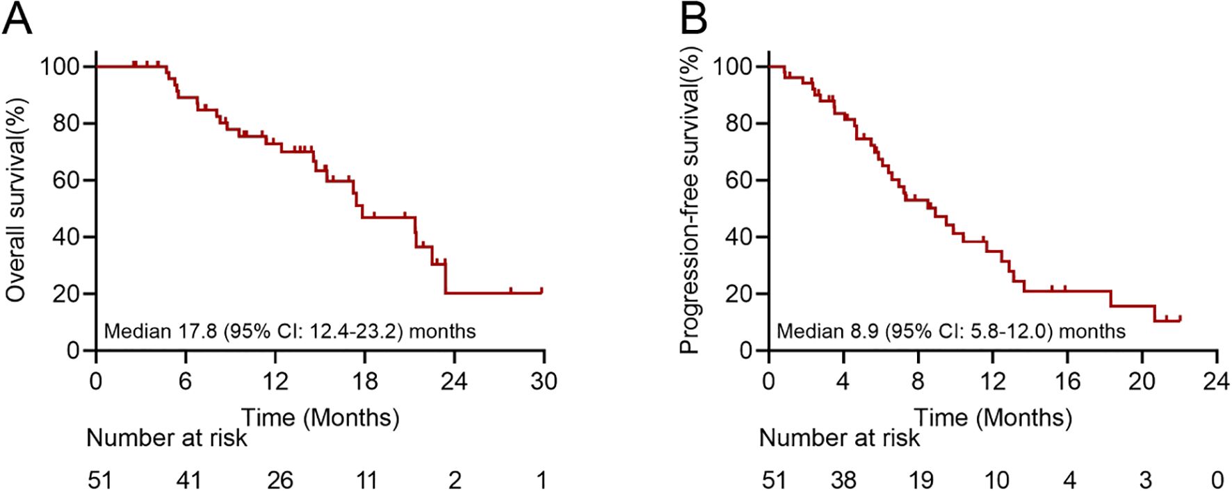 Two line graphs compare patient survival rates. Graph A shows overall survival over 30 months, with a median of 17.8 months. Graph B illustrates progression-free survival over 24 months, with a median of 8.9 months. Both graphs display decreasing survival percentages over time, with the number of patients at risk decreasing at each interval.