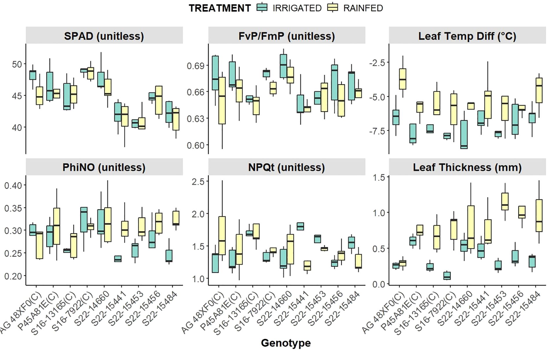 Boxplots display various plant metrics across different genotypes under irrigated and rainfed conditions. Metrics include SPAD, FvP/FmP, Leaf Temperature Difference, PhiNO, NPQt, and Leaf Thickness. Each boxplot compares these values, showing variability and median differences between the treatments for each genotype.