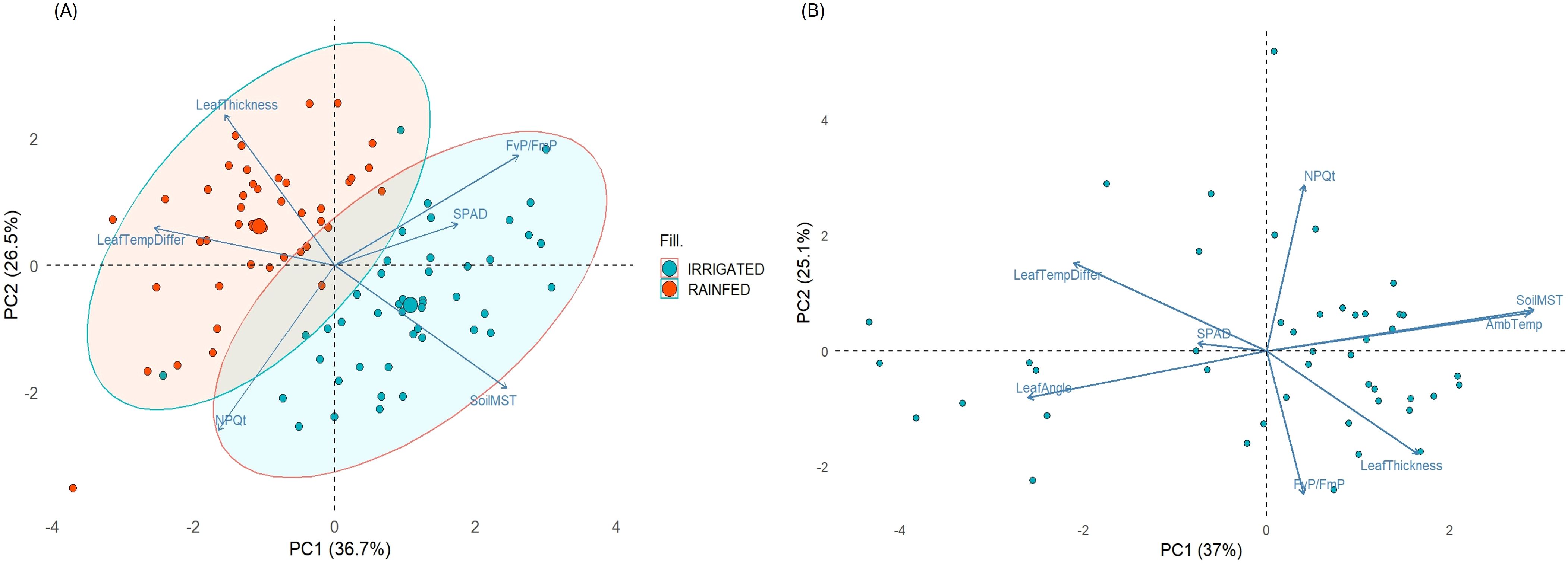 Plot A and B show principal component analyses with two axes (PC1 and PC2) indicating variance. Plot A features filled circles representing irrigated (blue) and rainfed (orange) conditions, with arrows for variables like Leaf Thickness and SPAD. Plot B shows irrigated conditions with variables such as Leaf Angle and SoilMST, displaying blue arrows. Both plots include percentage variance explained by each axis.