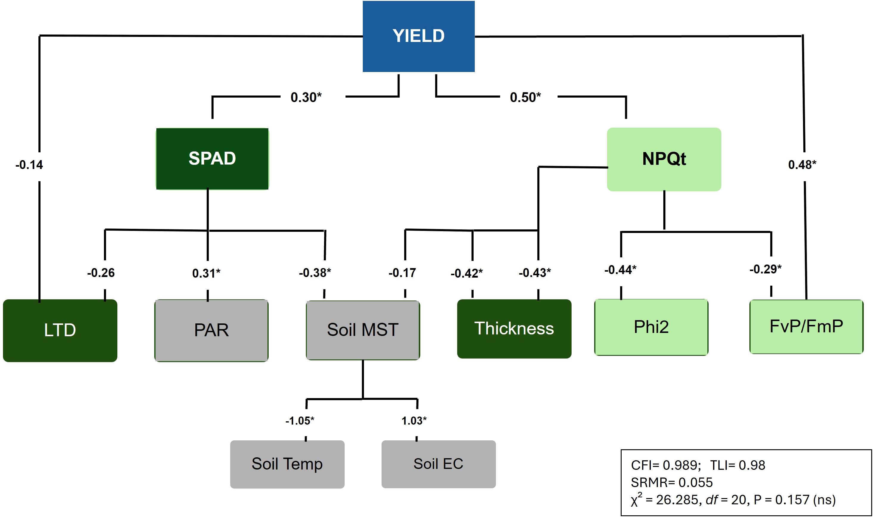 Diagram showing relationships between yield and various factors. Yield is influenced by SPAD and NPQt, with coefficients of 0.30 and 0.50 respectively. SPAD is related to LTD, PAR, and Soil MST, while NPQt is linked to Phi2 and FvP/FmP. Coefficients range from -1.05 to 1.03. Fit indices are CFI=0.989, TLI=0.98, SRMR=0.055, chi-squared=26.285, degrees of freedom=20, p=0.157.