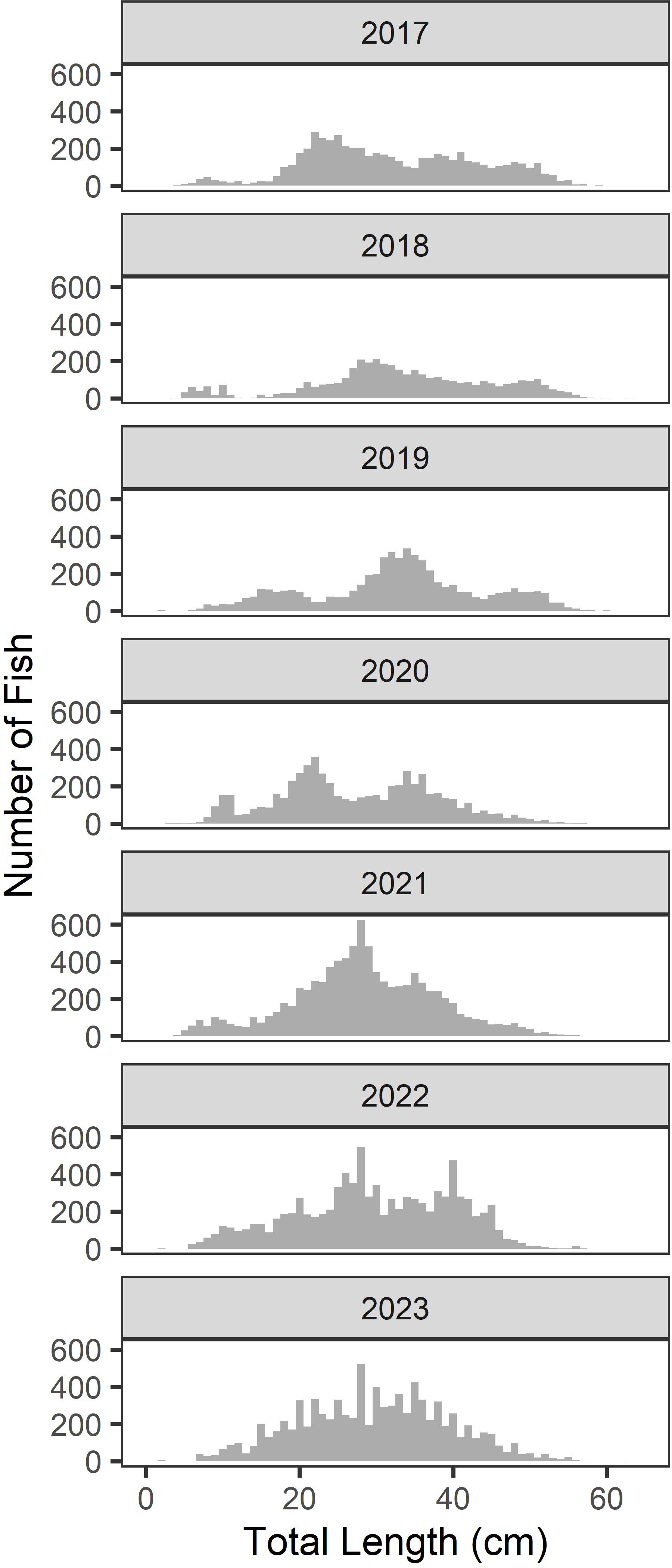 Histograms display the number of fish by total length in centimeters from 2017 to 2023. Each year shows a distribution with peaks varying in height and width, illustrating changes in fish sizes over time.
