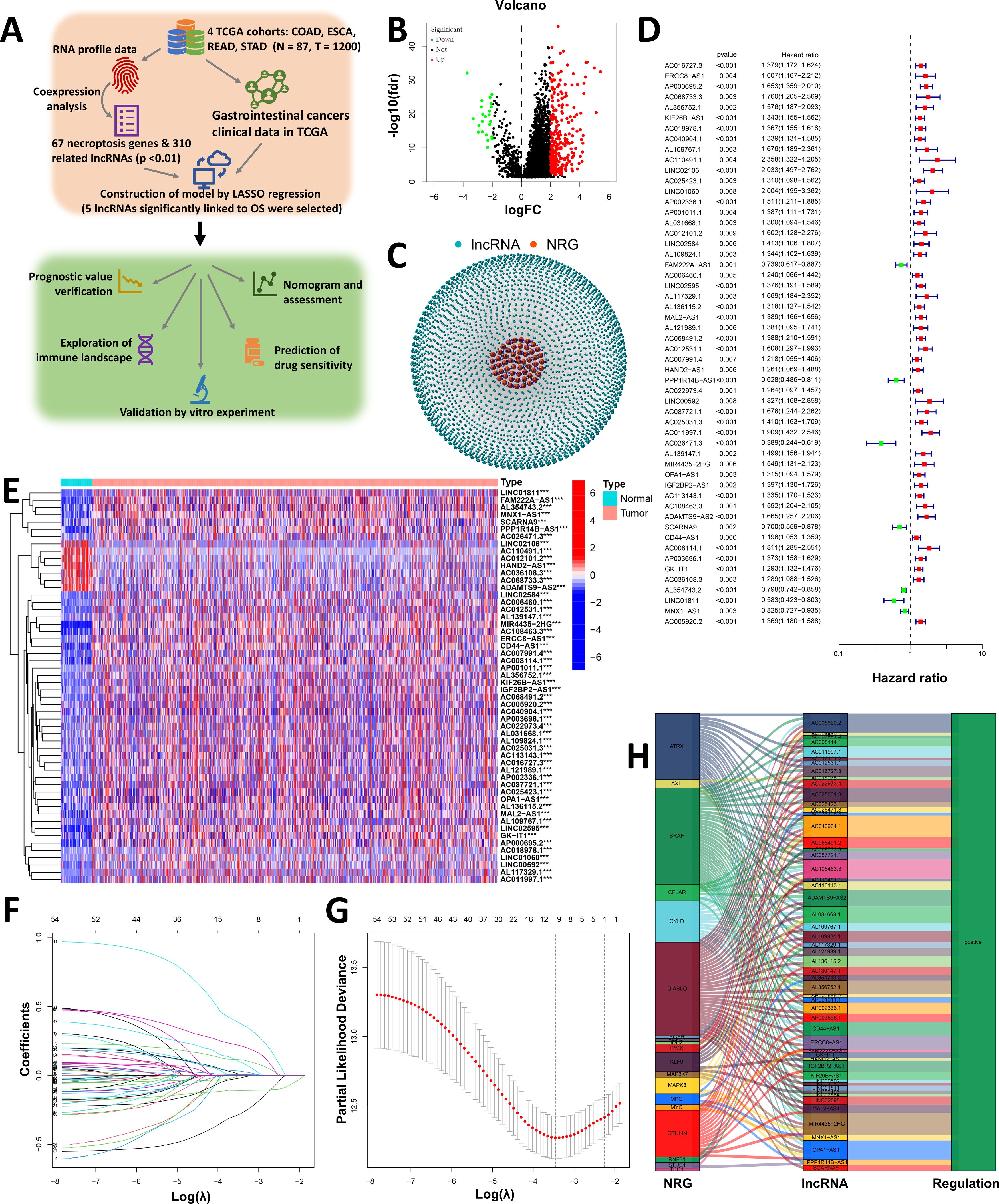 Infographic displays research on RNA profiles in gastrointestinal cancers. It includes a workflow diagram (A), volcano plot (B), correlation network (C), forest plot (D), heatmap (E), coefficient paths (F), deviance plot (G), and a Sankey diagram (H). The analysis aims to investigate the correlation between lncRNAs and necroptosis-related genes in gastrointestinal cancer.