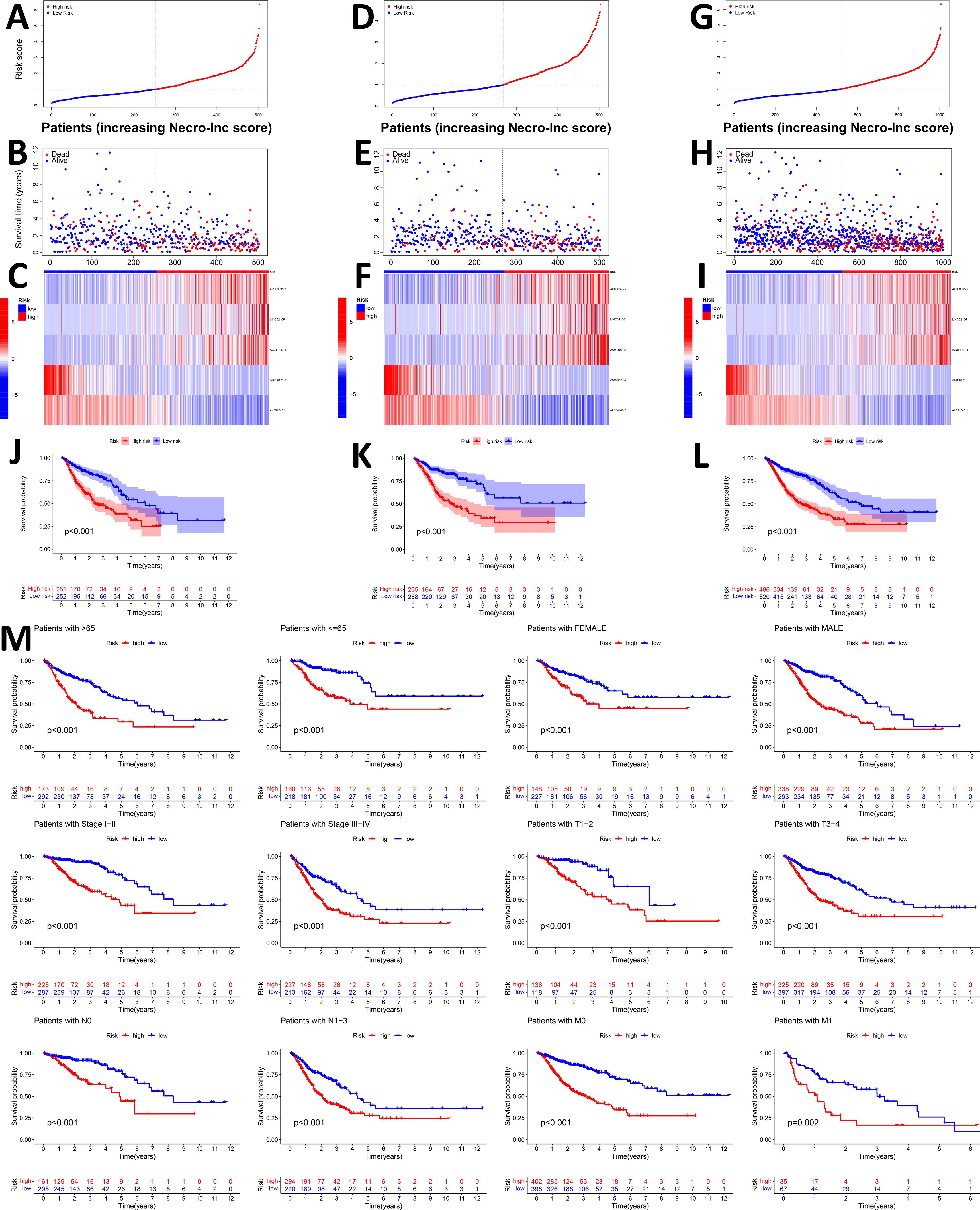 A series of graphs and heatmaps analyze patient data based on Necro-Inc scores. Panels A, D, and G show risk scores versus patient numbers. Panels B, E, and H display scatter plots of survival times. Panels C, F, and I provide heatmaps of risk classification. Panels J, K, and L offer Kaplan-Meier survival curves, comparing high and low-risk groups with significance indicated (p<0.001). Panel M presents survival curves for various patient subgroups, including age, gender, and disease stages, each showing significant differences in survival rates with p-values noted.