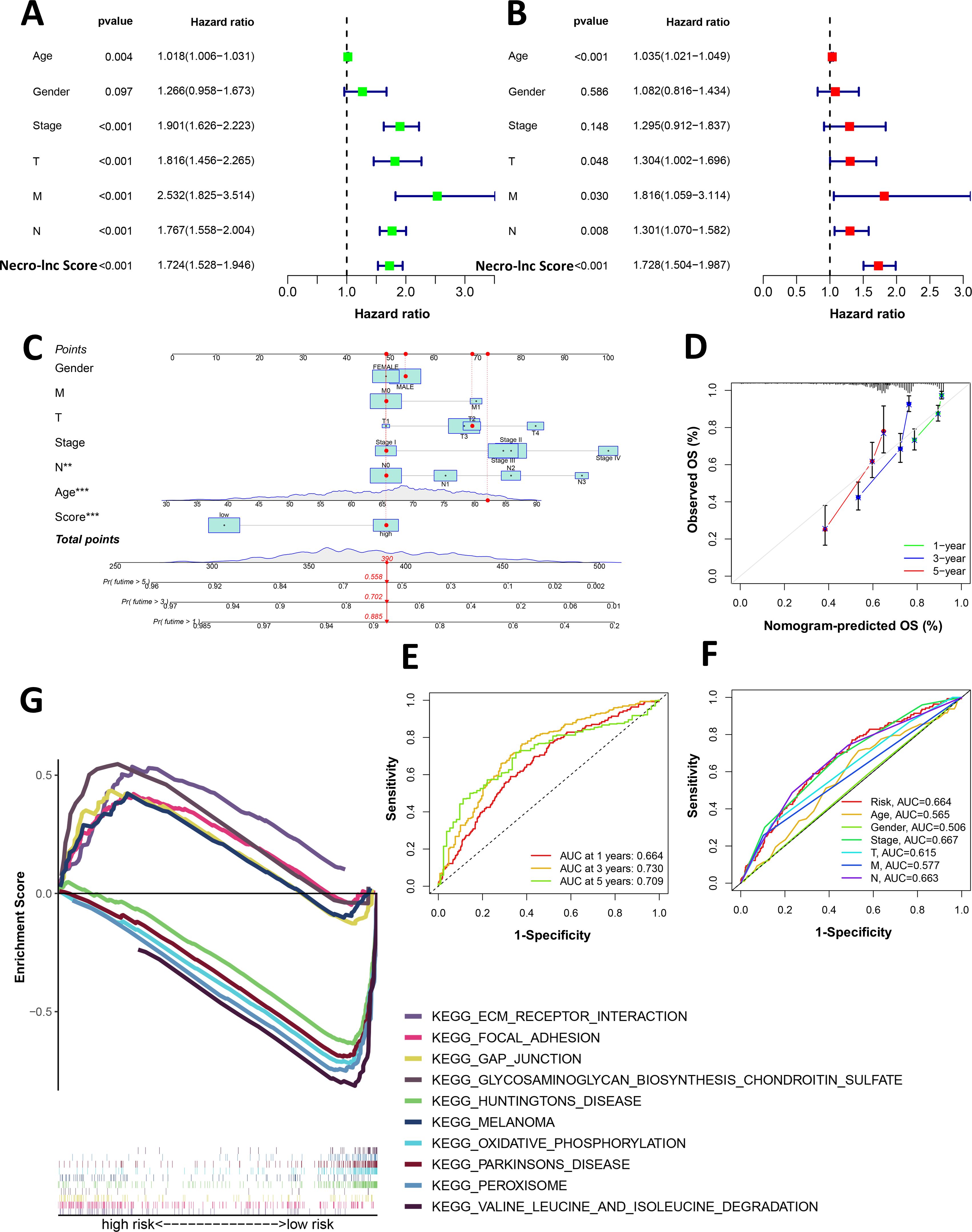 Graphical panels depicting statistical analyses and outcomes. Panel A and B show forest plots with hazard ratios for different factors, including age, gender, stages and necro-lnc score, alongside p-values. Panel C presents a nomogram for predicting outcomes based on various clinical factors. Panel D includes a calibration plot comparing observed versus predicted overall survival rates across one, three, and five years. Panel E and F display ROC curves evaluating sensitivity and specificity for prediction models at multiple time points. Panel G shows enrichment scores for gene sets in a high-risk versus low-risk context, with KEGG pathway annotations.