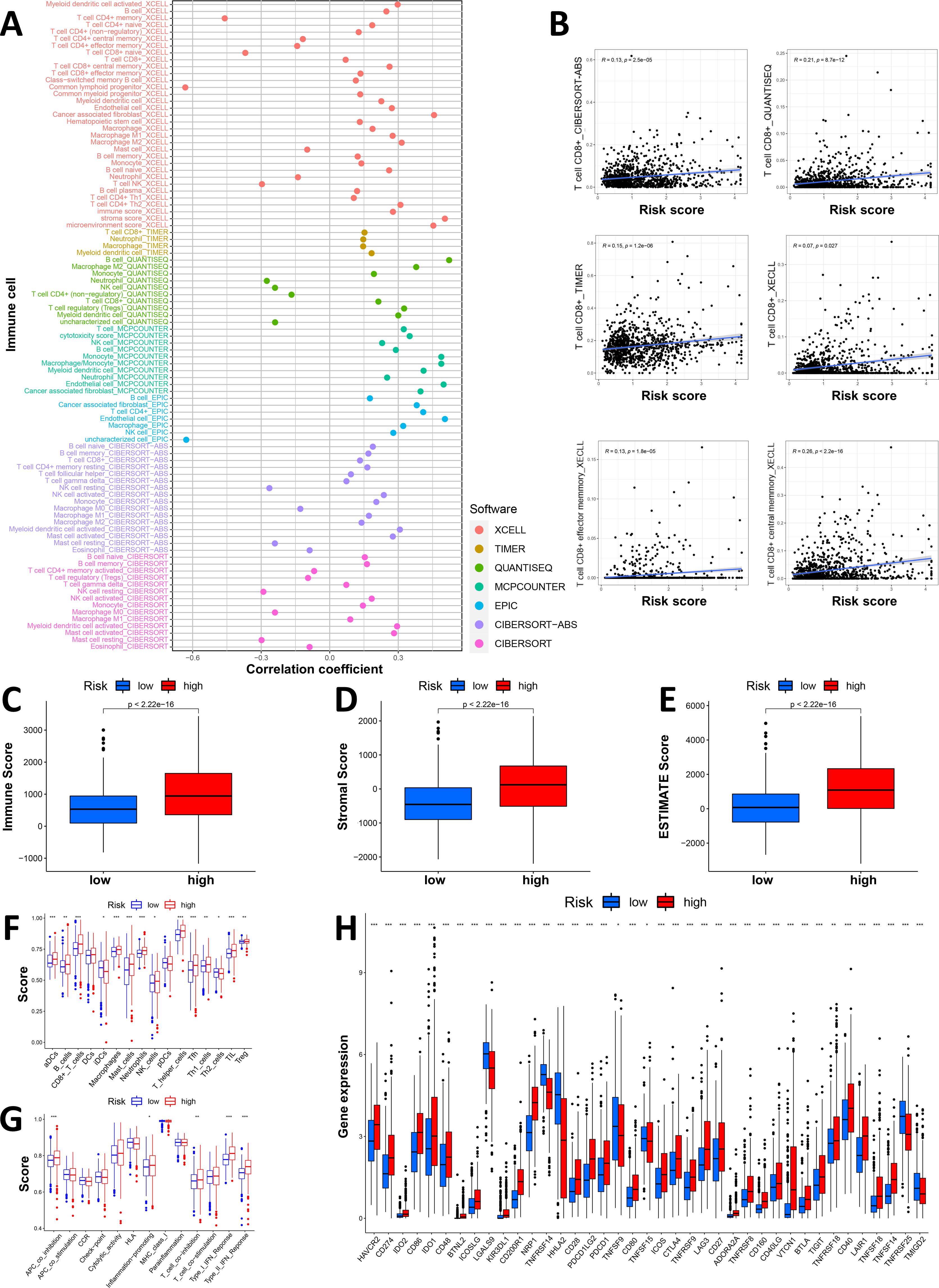 Panel A shows a dot plot with correlation coefficients for various immune cells across multiple software tools. Panel B contains scatter plots depicting the relationship between CD8+ T cell levels and risk scores using different software. Panels C, D, and E are box plots comparing immune, stromal, and ESTIMATE scores between low and high risk groups. Panels F and G present box plots of tumor-infiltrating immune cells and immune-related functions between the low- and high-score groups. Panel H displays the relationship between the Necro-lnc score and immune checkpoints.