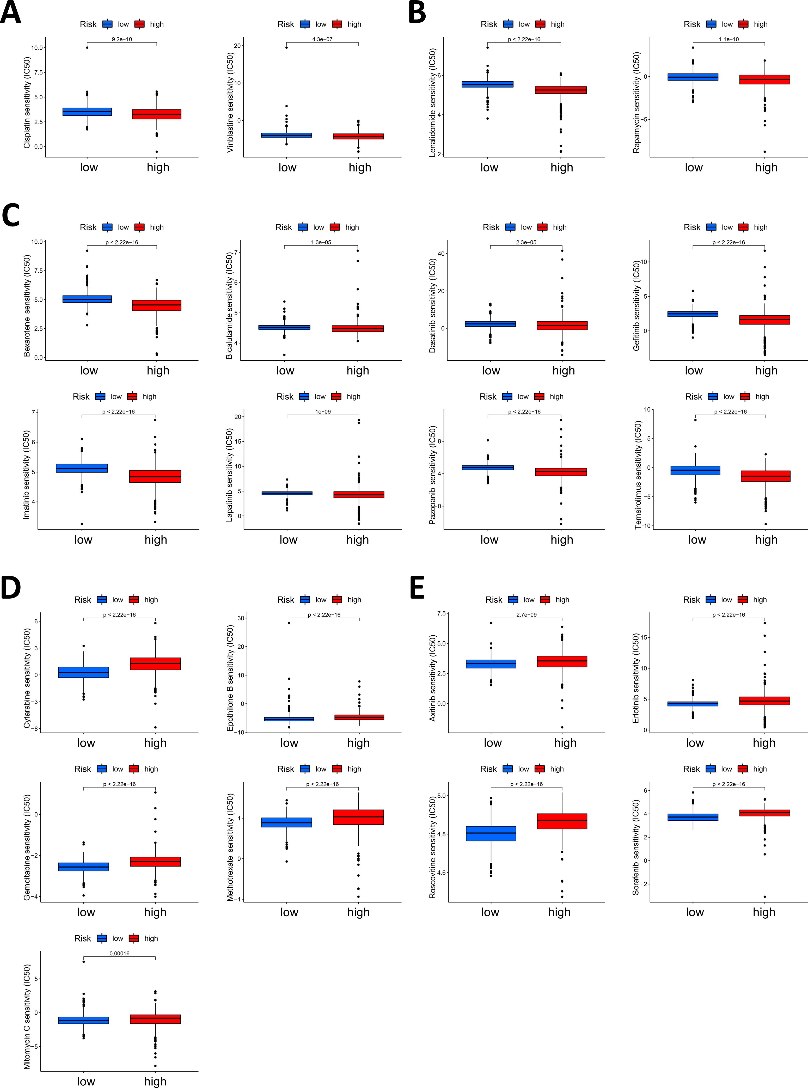 Panels A to E show multiple box plots comparing drug sensitivity (IC50) between low-risk and high-risk groups for various drugs. Each box plot is labeled with the drug name, and p-values indicate statistical significance. The boxes represent interquartile ranges, and whiskers extend to data extremes.