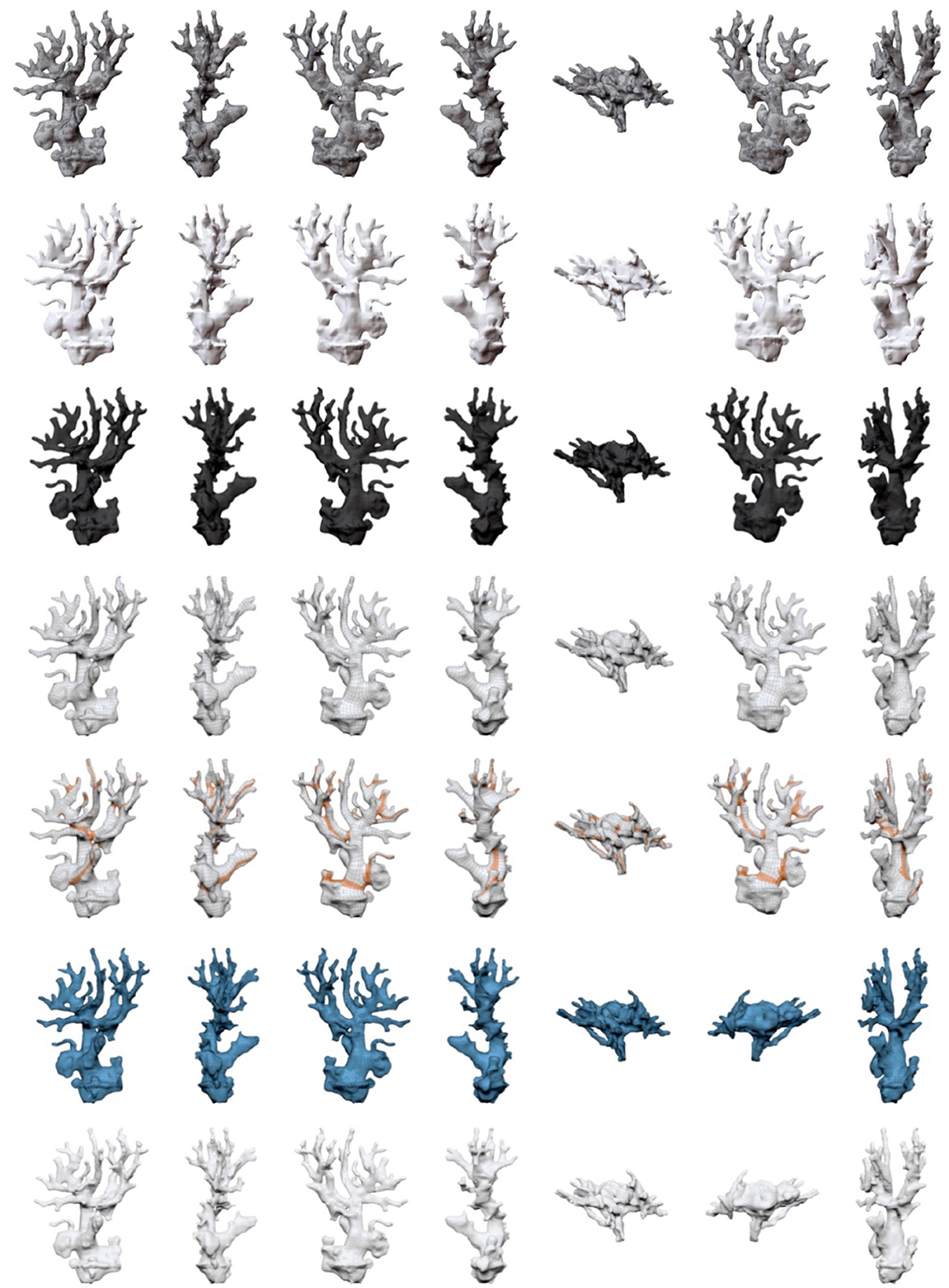 Rows of digitally rendered coral structures in varying shades of gray, white, and blue are arranged in a grid. Some corals have orange highlights, resembling different coral forms and sizes.