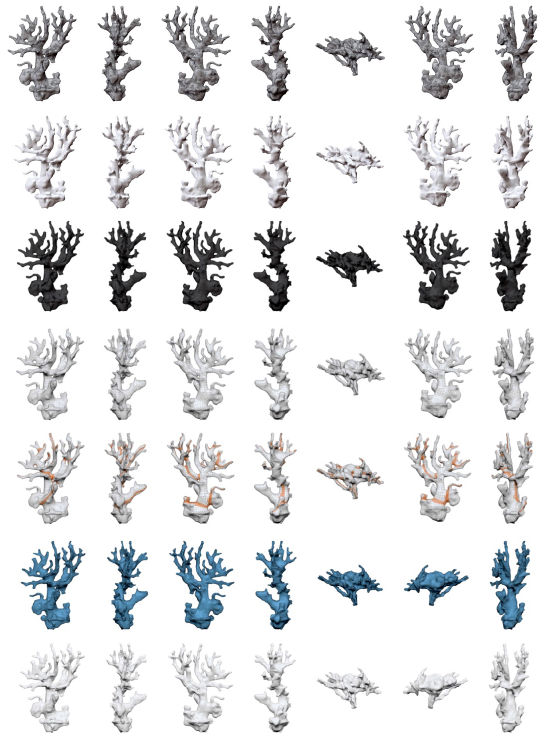 Rows of digitally rendered coral structures in varying shades of gray, white, and blue are arranged in a grid. Some corals have orange highlights, resembling different coral forms and sizes.