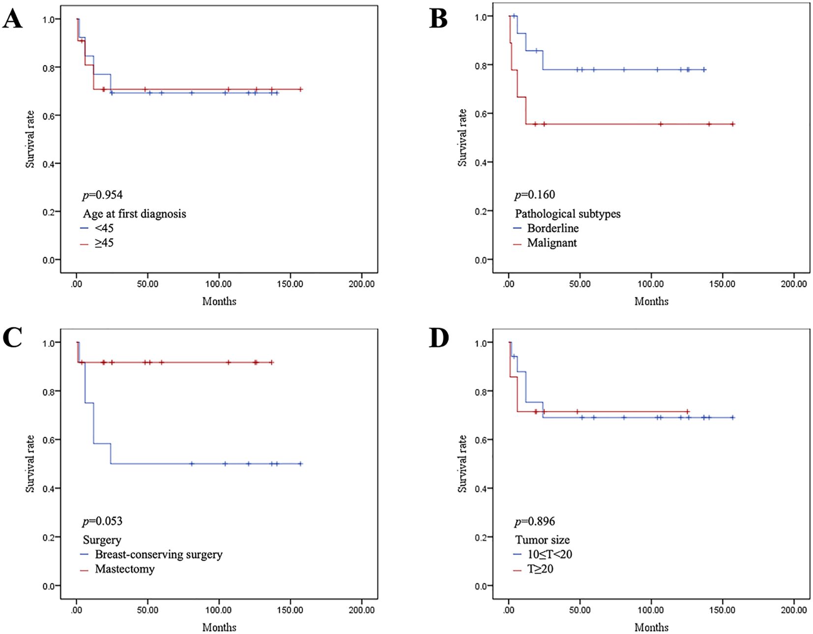 Grouped survival rate graphs show Kaplan-Meier curves related to breast cancer factors: A) Survival based on age at first diagnosis, with p-value 0.954. B) Survival by pathological subtype, p-value 0.160. C) Survival by surgery type, p-value 0.053. D) Survival by tumor size, p-value 0.896. Each graph uses months as the time axis and survival rate as the vertical axis, comparing different factors with distinct lines.