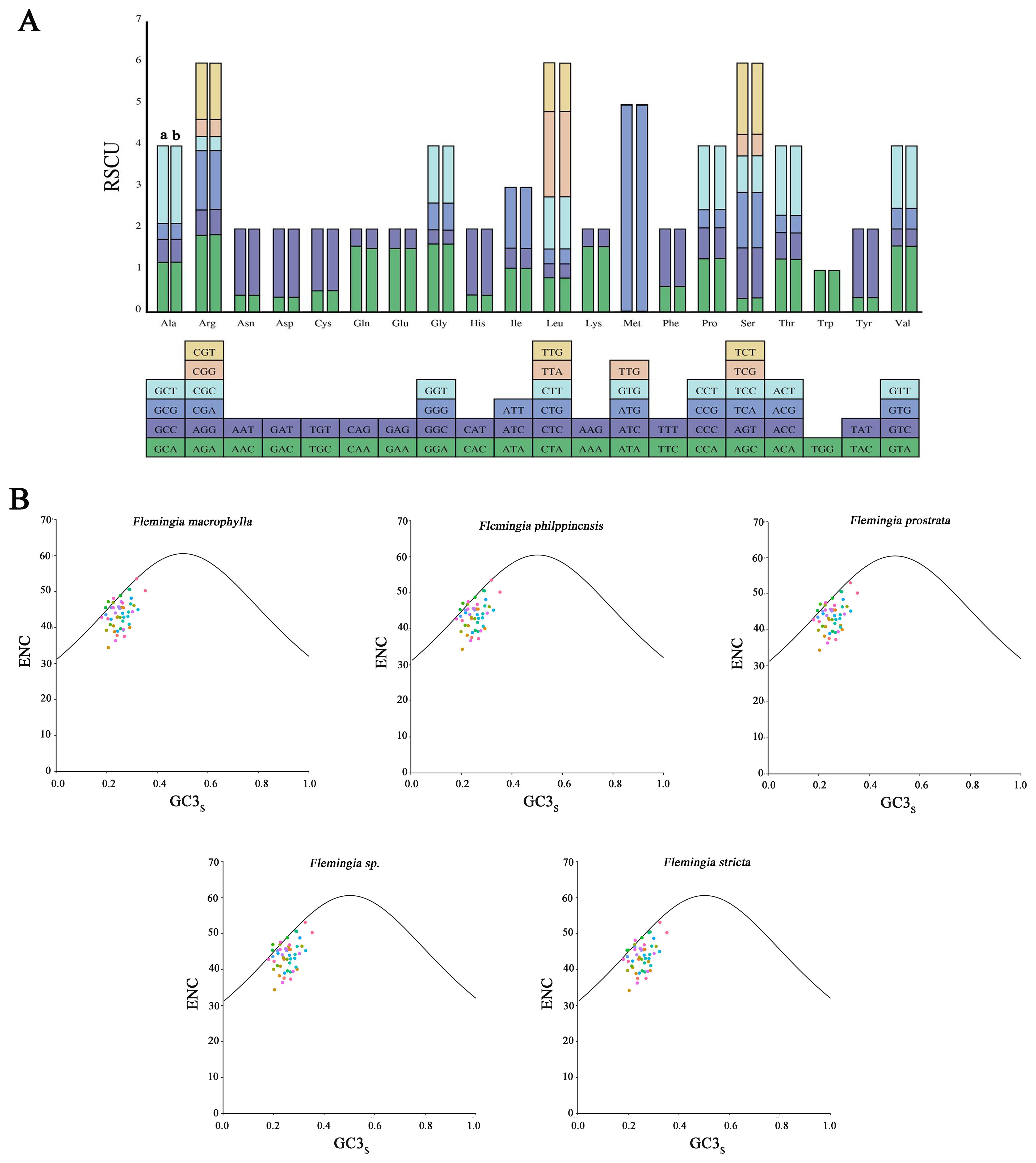 Panel A shows a bar graph with relative synonymous codon usage (RSCU) for various amino acids, along with color-coded tables of codons. Panel B displays four line graphs with points representing different Flemingia species plotted against ENC and GC3s values, illustrating genetic data trends.