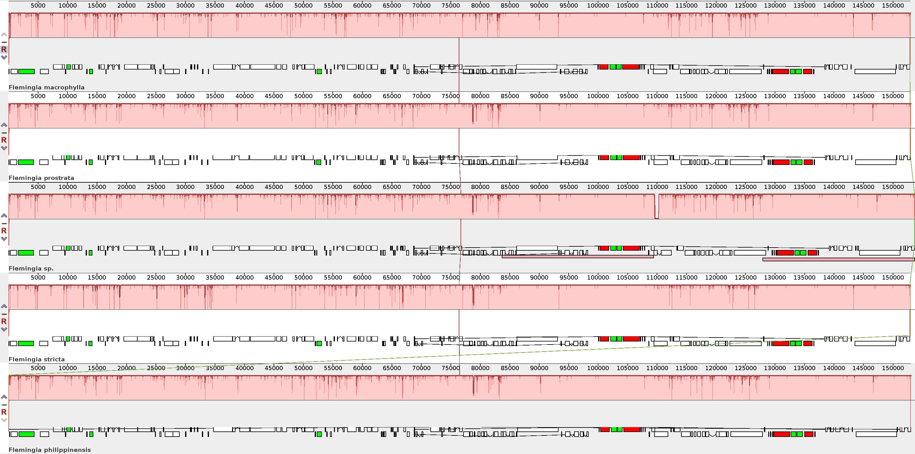 Genomic comparison chart displaying alignment and differences in DNA sequences across five Flemingia species. Each section includes colored markers and graphs indicating genetic variations and similarities, with axes labeled from 0 to 150,000.