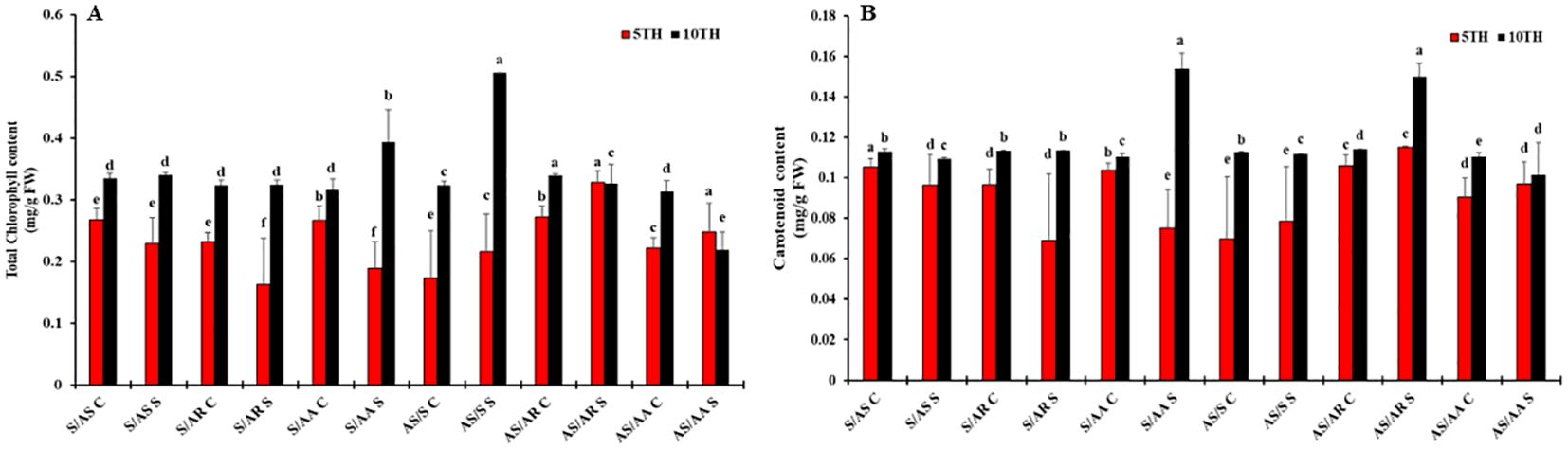 Bar charts labeled A and B compare total chlorophyll and carotenoid content (mg/g FW) in different groups (G-1 to G-6) for two conditions: 5TH (red) and 10TH (black). Each group shows varying content levels with error bars and labeled significance letters, indicating statistical differences. Chart A presents higher chlorophyll levels in 10TH for most groups, and chart B indicates variations in carotenoid content across the groups for the same conditions.