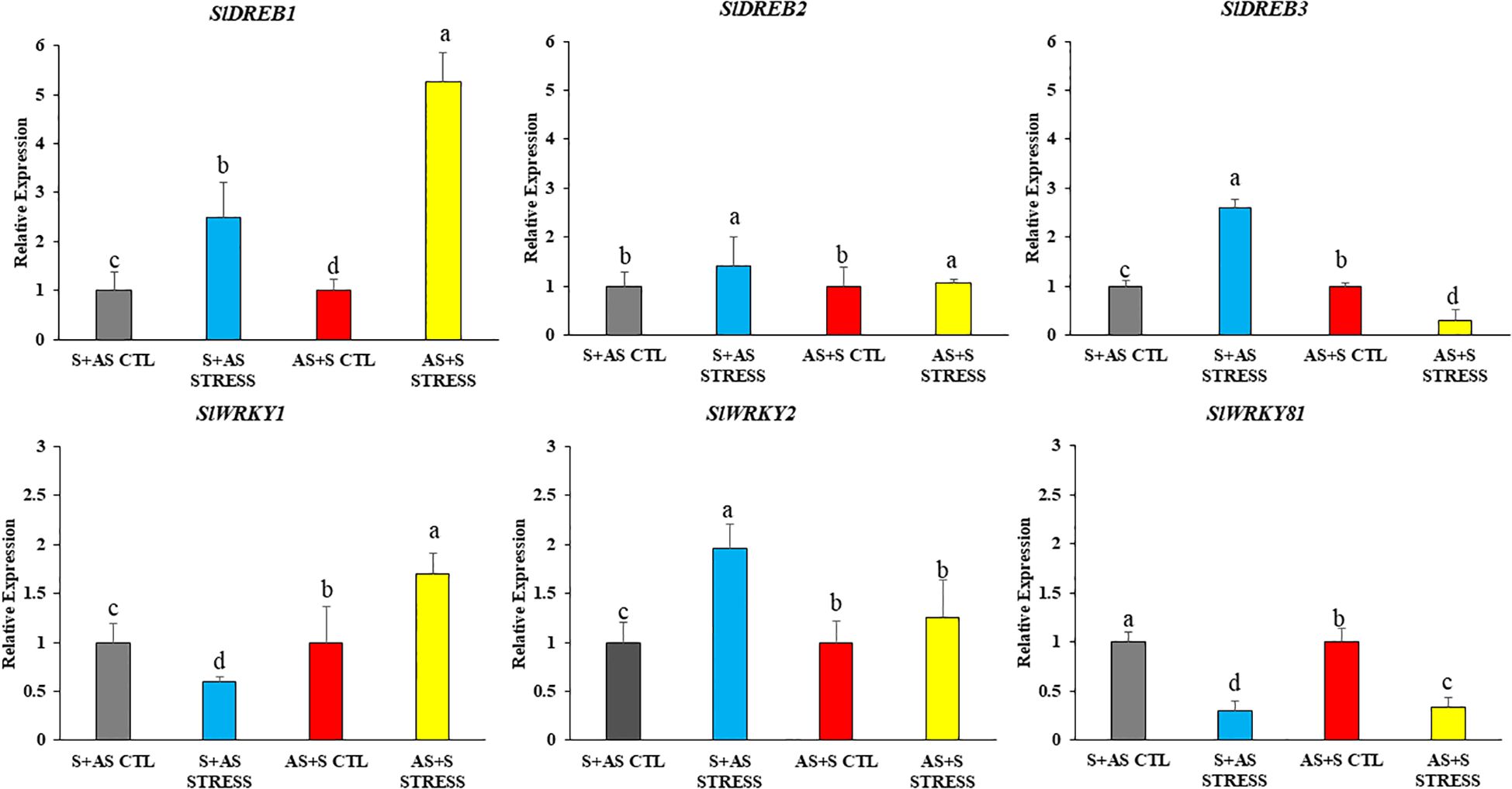 Bar graphs showing relative expression levels of genes SIDREB1, SIDREB2, SIDREB3, SlWRKY1, SlWRKY2, and SlWRKY81 under different conditions: S+AS CTL, S+AS STRESS, AS+S CTL, and AS+S STRESS. Each graph features color-coded bars with letters indicating statistical differences.