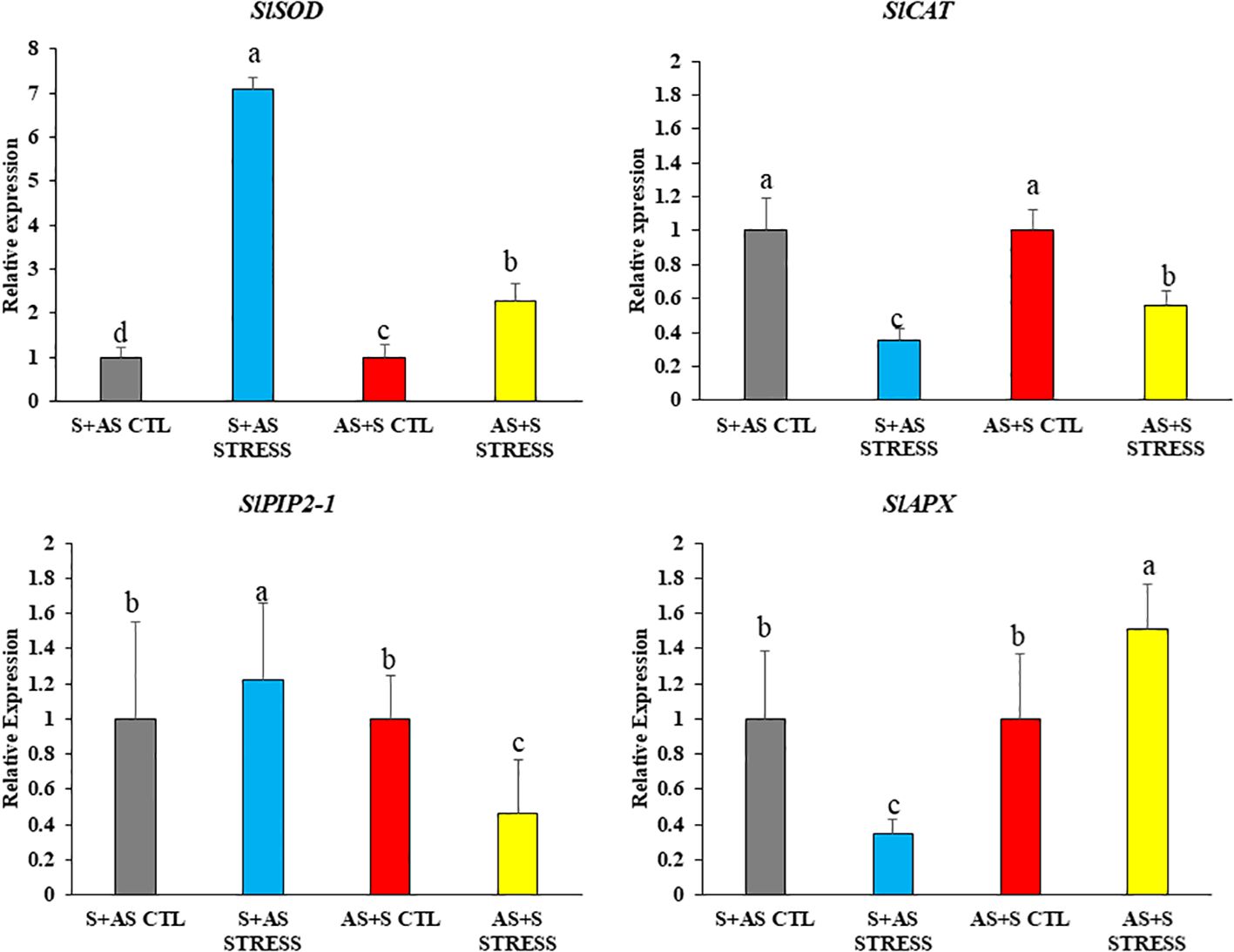 Bar graphs showing relative expression of genes SlSOD, SlCAT, SlPIP2-1, and SlAPX under different conditions: S+AS CTL, S+AS STRESS, AS+S CTL, and AS+S STRESS. SlSOD peaks at S+AS STRESS, SlCAT at S+AS CTL and AS+S CTL, SlPIP2-1 at S+AS STRESS, and SlAPX at AS+S STRESS. Bars are color-coded: gray, blue, red, and yellow, with significance marked by letters a, b, c, and d.