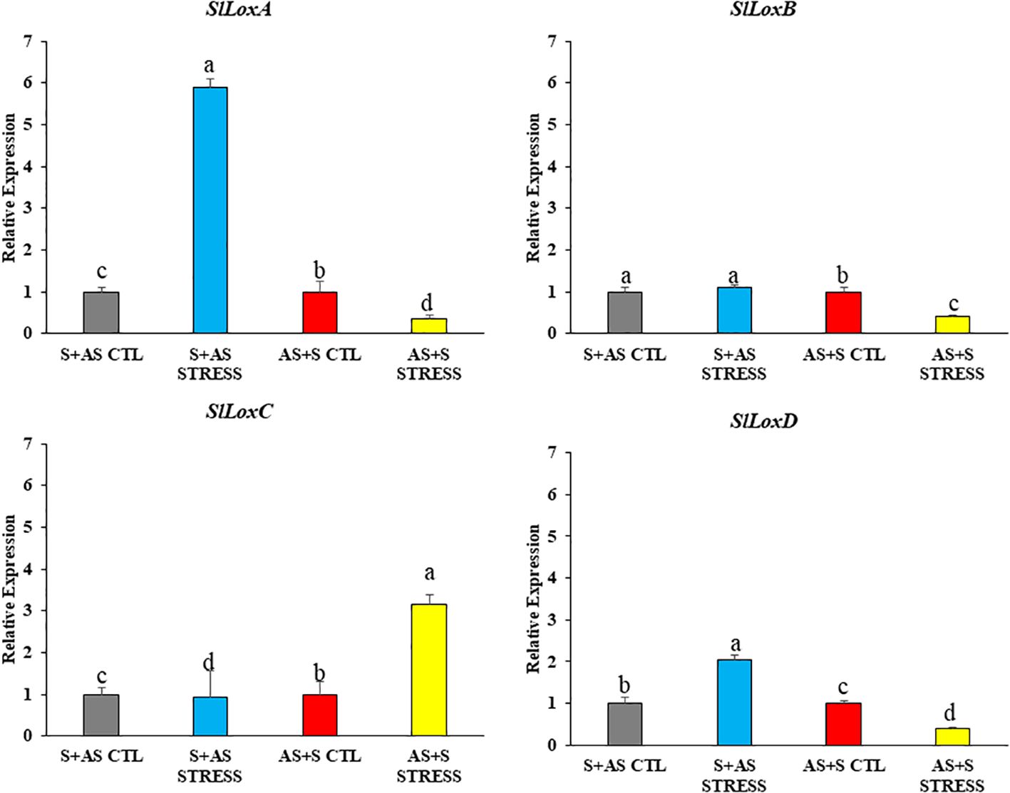 Bar charts depicting relative expression levels of four genes: SLoxA, SLoxB, SLoxC, and SLoxD. Each gene has four conditions: S+AS CTL, S+AS STRESS, AS+S CTL, and AS+S STRESS. SLoxA and SLoxD show the highest expression in S+AS STRESS; SLoxB has similar expression in S+AS CTL and STRESS. SLoxC shows highest expression in AS+S STRESS. Different colors represent conditions with statistical significance labeled as 'a', 'b', 'c', and 'd'.