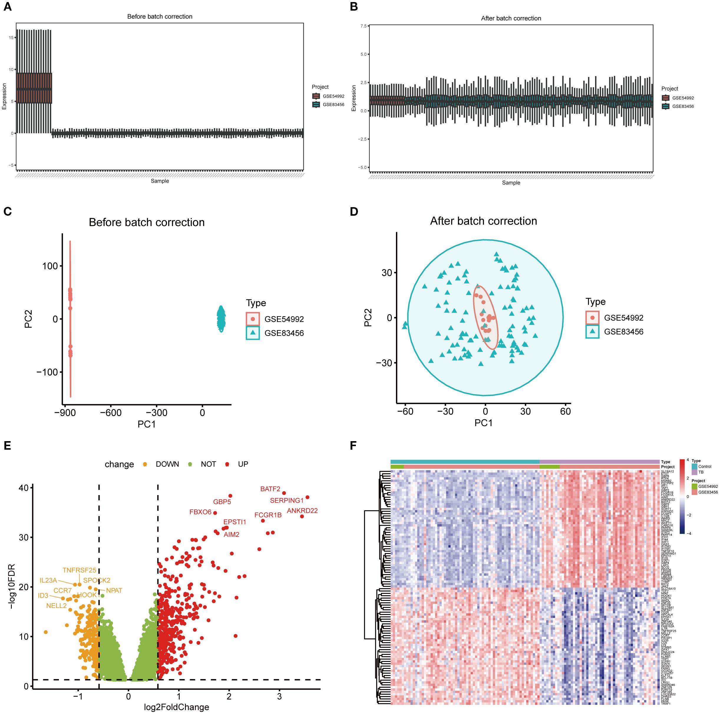 Panel A shows a bar plot of data before batch correction, revealing significant variability. Panel B displays reduced variability after batch correction. Panel C illustrates a PCA plot before correction with distinct separation of types GSE54992 and GSE83456. Panel D shows improved clustering after batch correction. Panel E presents a volcano plot of gene expression changes highlighting downregulated, unchanged, and upregulated genes. Panel F is a heatmap visualizing gene expression across samples, indicating clustering patterns after batch correction.
