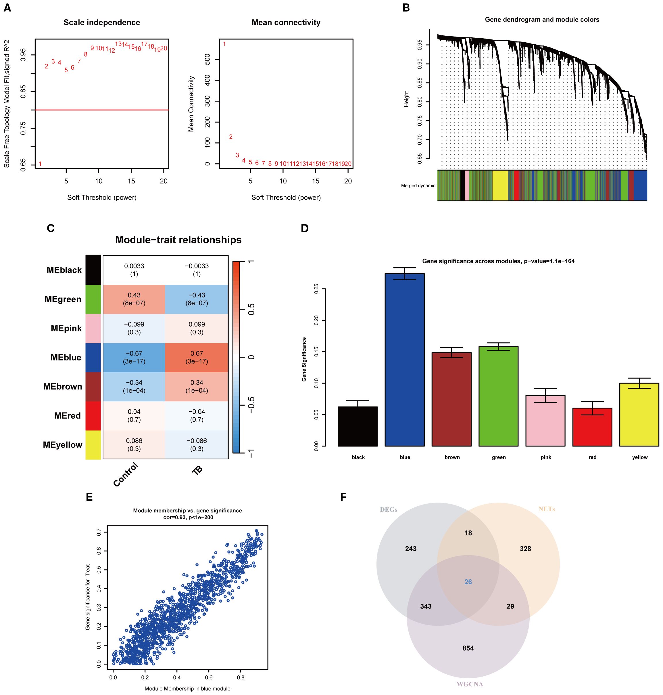 A composite of six panels illustrating gene network analysis. A: Two plots showing scale independence and mean connectivity against soft threshold power. B: A dendrogram with colored modules indicating gene clustering. C: A heatmap of module-trait relationships with color-coded significance and correlation values. D: A bar graph displaying gene significance across modules with different colors representing modules. E: A scatter plot showing a positive correlation between module membership and gene significance in the blue module. F: A Venn diagram illustrating overlaps between different gene sets: DEGs, NETs, and WGCNA.