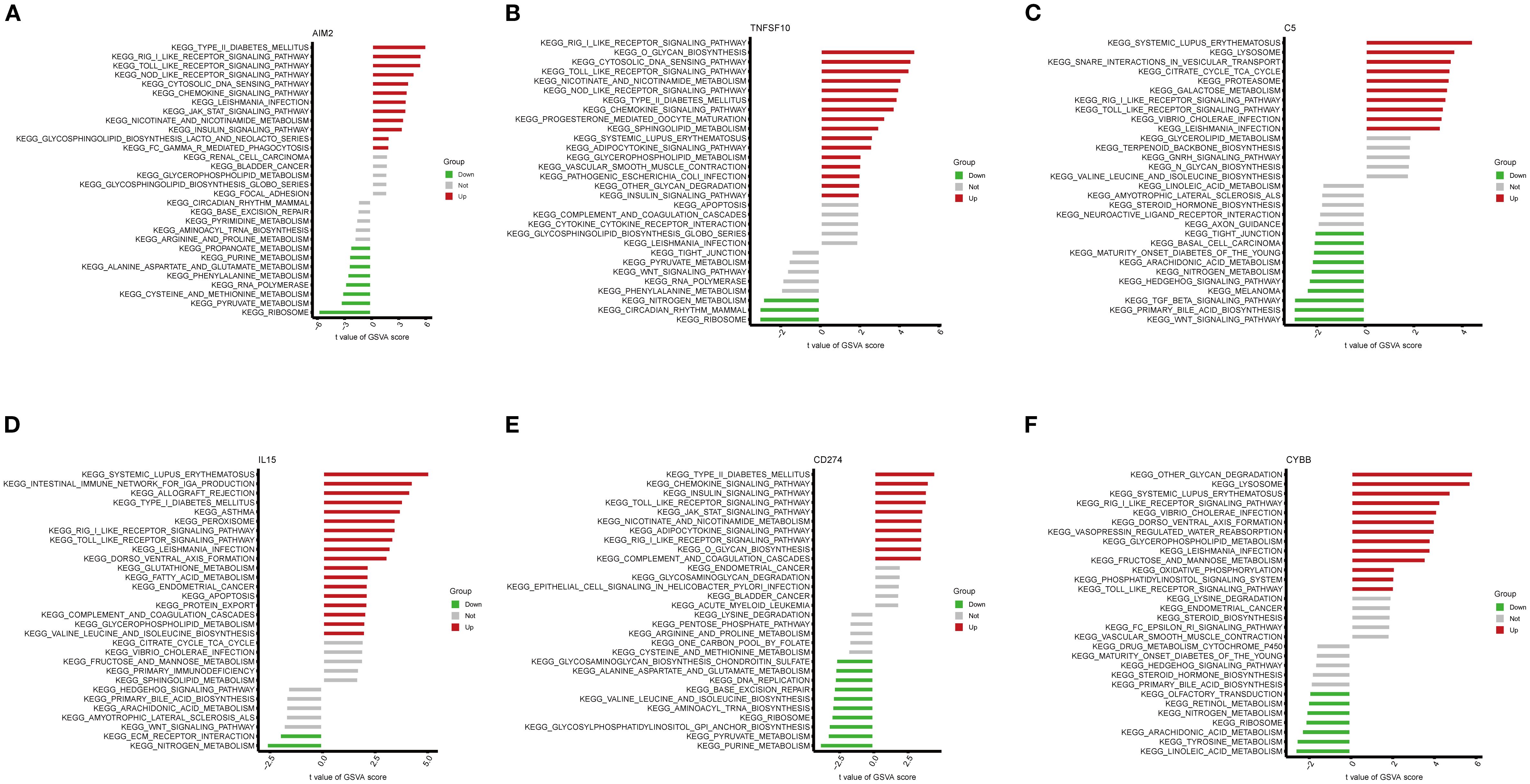 Six bar graphs labeled A to F display the t-values of GSVA scores for various KEGG pathways. Each graph shows pathways categorized as downregulated (green), unchanged (gray), or upregulated (red). Notable pathways include KEGG_TYPE_I_DIABETES_MELLITUS, KEGG_RIG_I_LIKE_RECEPTOR_SIGNALING_PATHWAY, and KEGG_SYTEMIC_LUPUS_ERYTHEMATOSUS. Each graph focuses on different genes: AIM2, TNFSF10, C5, IL15, CD274, and CYBB. The x-axis represents t-values, while the y-axis lists the pathways.