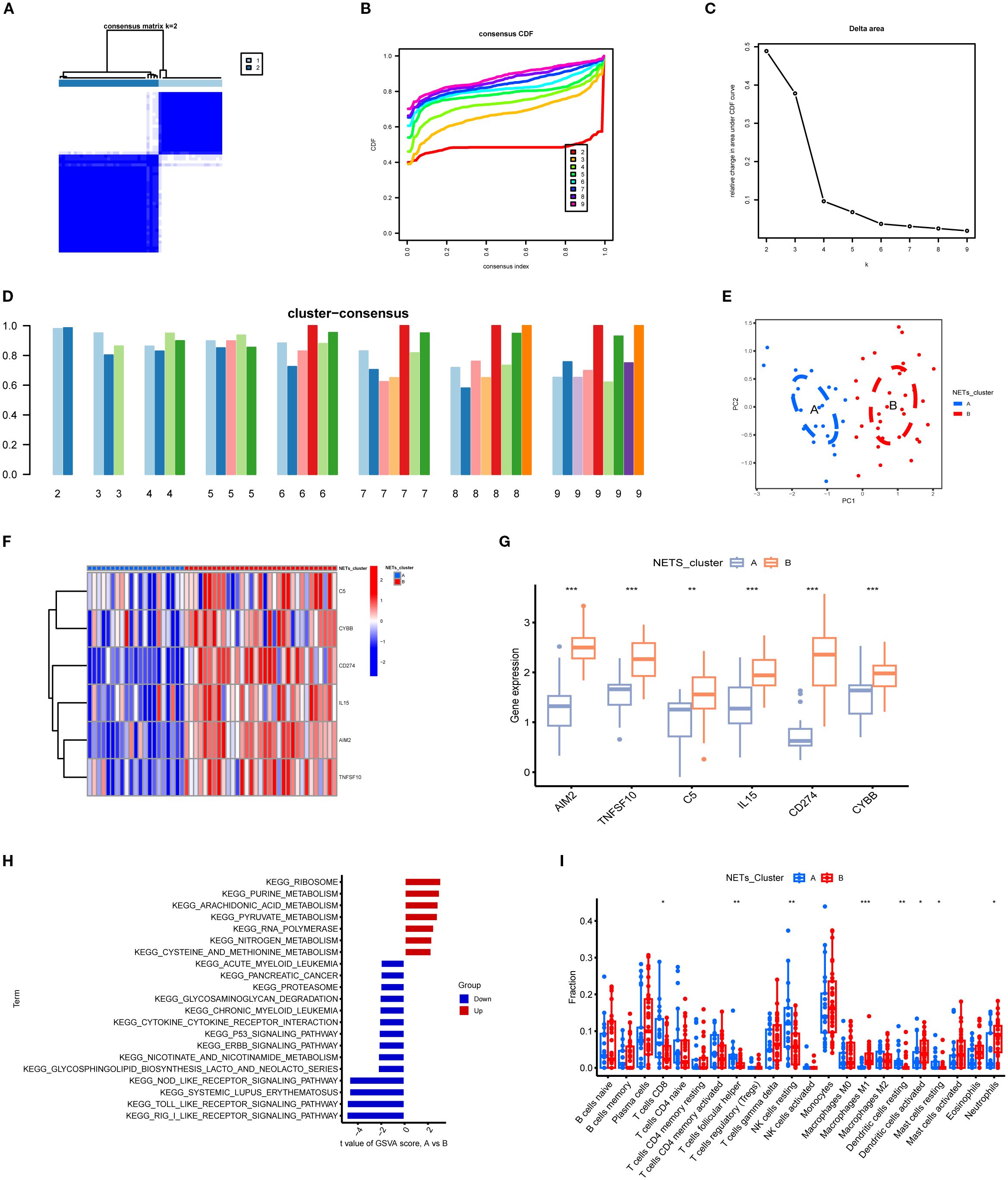Image showing various data visualizations related to clustering analysis. (A) Consensus matrix for k=2. (B) Consensus cumulative distribution function (CDF) plot. (C) Delta area plot indicating optimal k. (D) Cluster-consensus bar chart. (E) PCA plot with clusters A and B labeled. (F) Heat map of gene expression data. (G) Box plots comparing gene expression between clusters A and B for specific genes. (H) Bar chart of KEGG pathway analysis results, showing upregulated and downregulated pathways. (I) Box plots of immune cell fractions in clusters A and B, with significant differences marked.