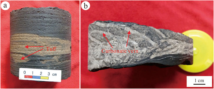 Panel (a) shows a cylindrical rock sample with brown tuff layers, and a scale indicating length in centimeters. Panel (b) displays a rock slice with visible carbonate veins on a red background; a yellow cap is partially visible.