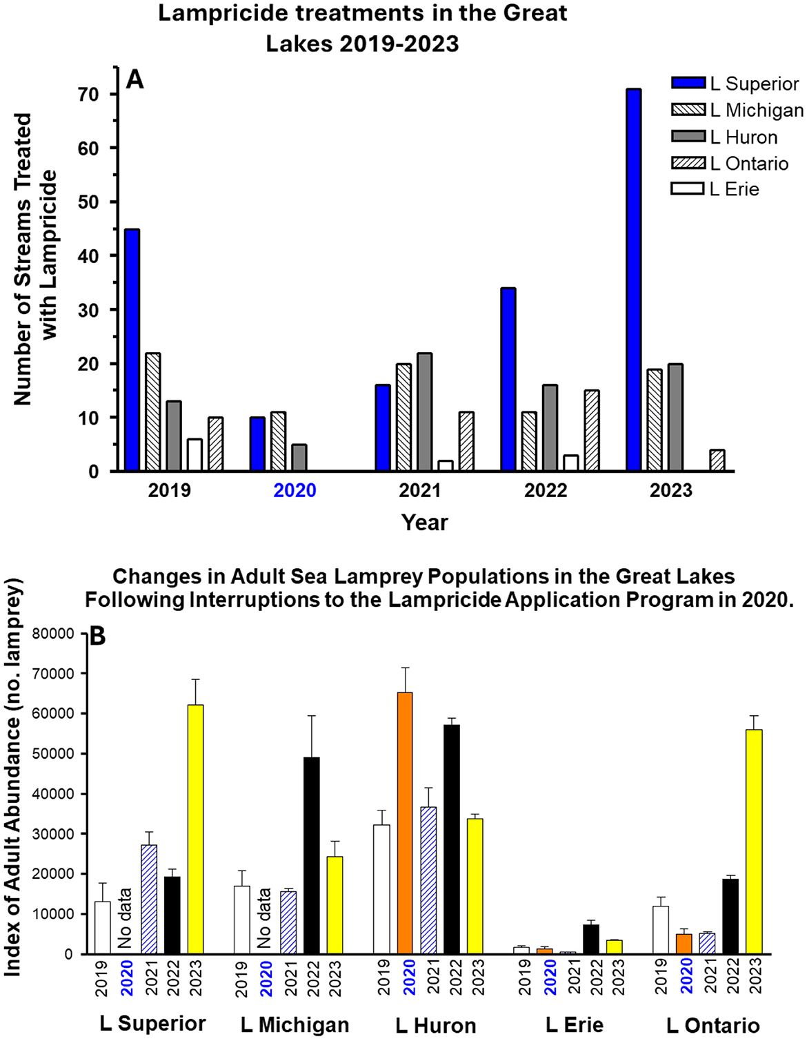 Bar charts depicting lampricide treatments and adult sea lamprey populations in the Great Lakes from 2019 to 2023. Chart A shows the number of streams treated with lampricide per lake and year, with peaks in Lake Superior in 2023. Chart B illustrates changes in adult sea lamprey populations across the lakes, showing fluctuations after 2020 interruptions, with highest populations noted for Lake Huron and Lake Ontario in 2023.