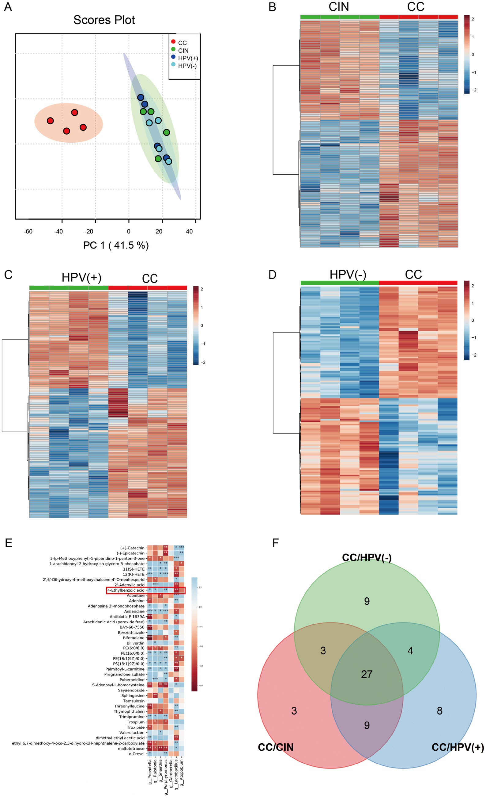 A series of graphical data visualizations is shown. Panel A features a scores plot with three clusters representing CC, CIN, HPV-positive, and HPV-negative categories along principal components one and two. Panels B, C, and D present heatmaps comparing CIN versus CC, HPV-positive versus CC, and HPV-negative versus CC, respectively, colored from blue to red indicating data value intensity. Panel E displays a heatmap of metabolites with labels on both axes, highlighting significant differences. Panel F contains a Venn diagram illustrating overlapping and distinct sets labeled as CC/HPV-negative, CC/HPV-positive, and CC/CIN with intersecting numbers.