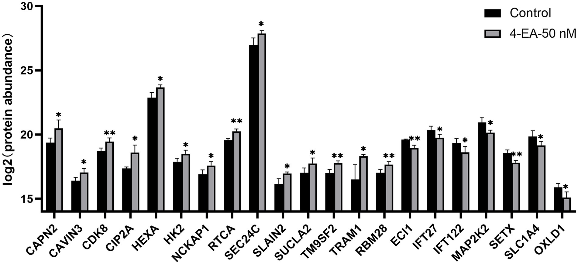 Bar chart showing log2 protein abundance for different proteins in control and 4-EA-50 nM conditions. Black bars represent control, and gray bars represent 4-EA-50 nM. Proteins include CAPN2, CAVIN3, CDK8, CIP2A, HEXA, HK2, NCKAP1, RTCA, SEC24C, SLAIN2, SUCLA2, TM9SF2, TRAM1, RBM28, ECI1, IFT27, IFT122, MAP2K2, SETX, SLC1A4, and OXLD1. Significant differences are marked with asterisks.