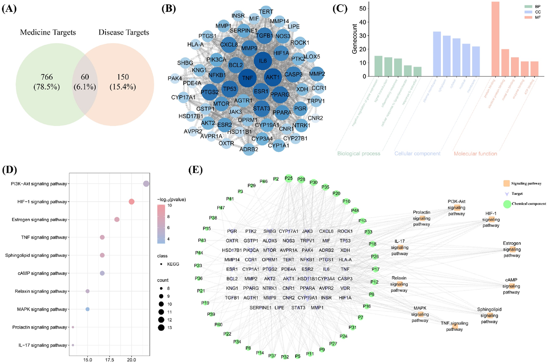 A series of five images labeled A to E.(A) Venn diagram shows overlap between medicine and disease targets, with 766 unique to medicine, 150 unique to diseases, and 60 common targets.(B) Network diagram displays gene interactions, highlighting key nodes such as TP53, IL6, and TNF.(C) Bar chart categorizes gene counts by biological processes, cellular components, and molecular functions, with colors indicating different categories.(D) Bubble chart presents signaling pathways like PI3K-Akt and HIF-1, using size and color to denote significance and count.(E) Network diagram maps chemical components to signaling pathways, highlighting interactions among targets like MAPK and estrogen signaling.