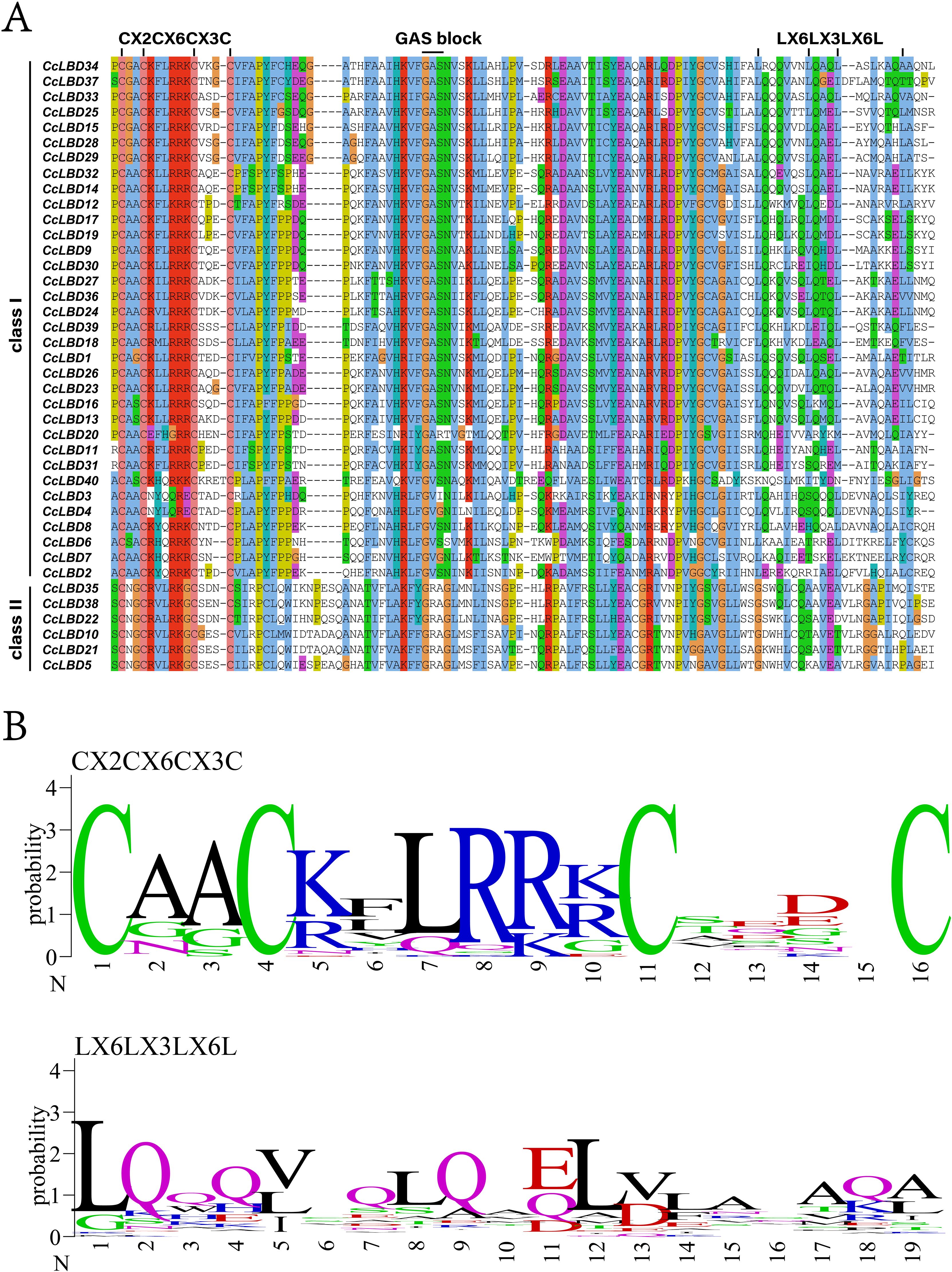 Protein sequence alignment and motif analysis for classes of a protein family. Part A shows a multiple sequence alignment with highlighted regions labeled CX2CX6CX3C, GAS block, and LX6LX3LX6L across different protein sequences. Part B presents sequence logos for motifs CX2CX6CX3C and LX6LX3LX6L, indicating amino acid conservation and their probabilities within these regions.