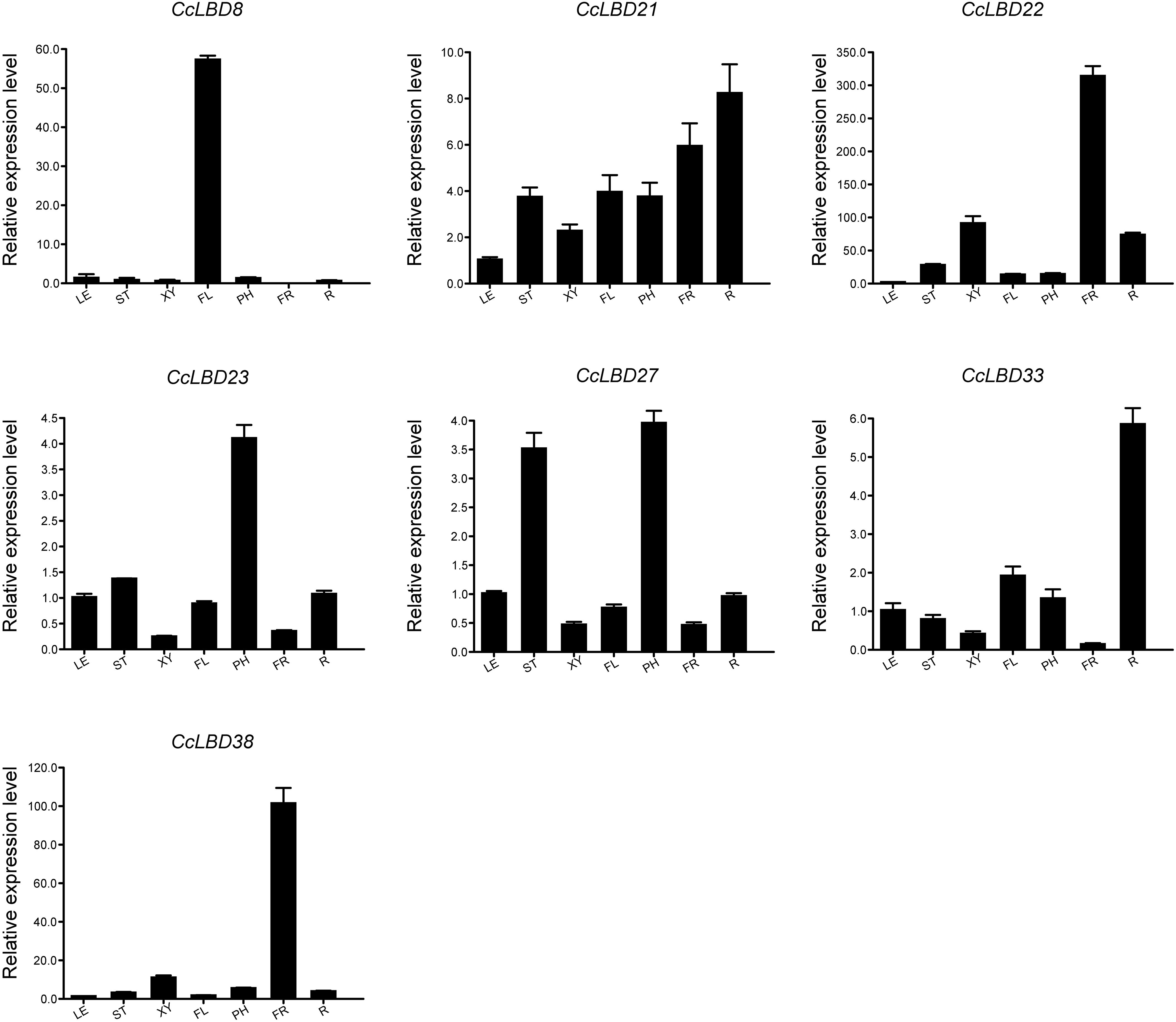 Bar charts displaying relative expression levels of CcLBD genes (8, 21, 22, 23, 27, 33, and 38) across different plant tissues: leaves (LE), stems (ST), xylem (XY), flowers (FL), petioles (PH), fruits (FR), and roots (R). Each chart shows varying expression patterns, with CcLBD8, CcLBD22, and CcLBD38 showing high expression in specific tissues. Error bars indicate variability.