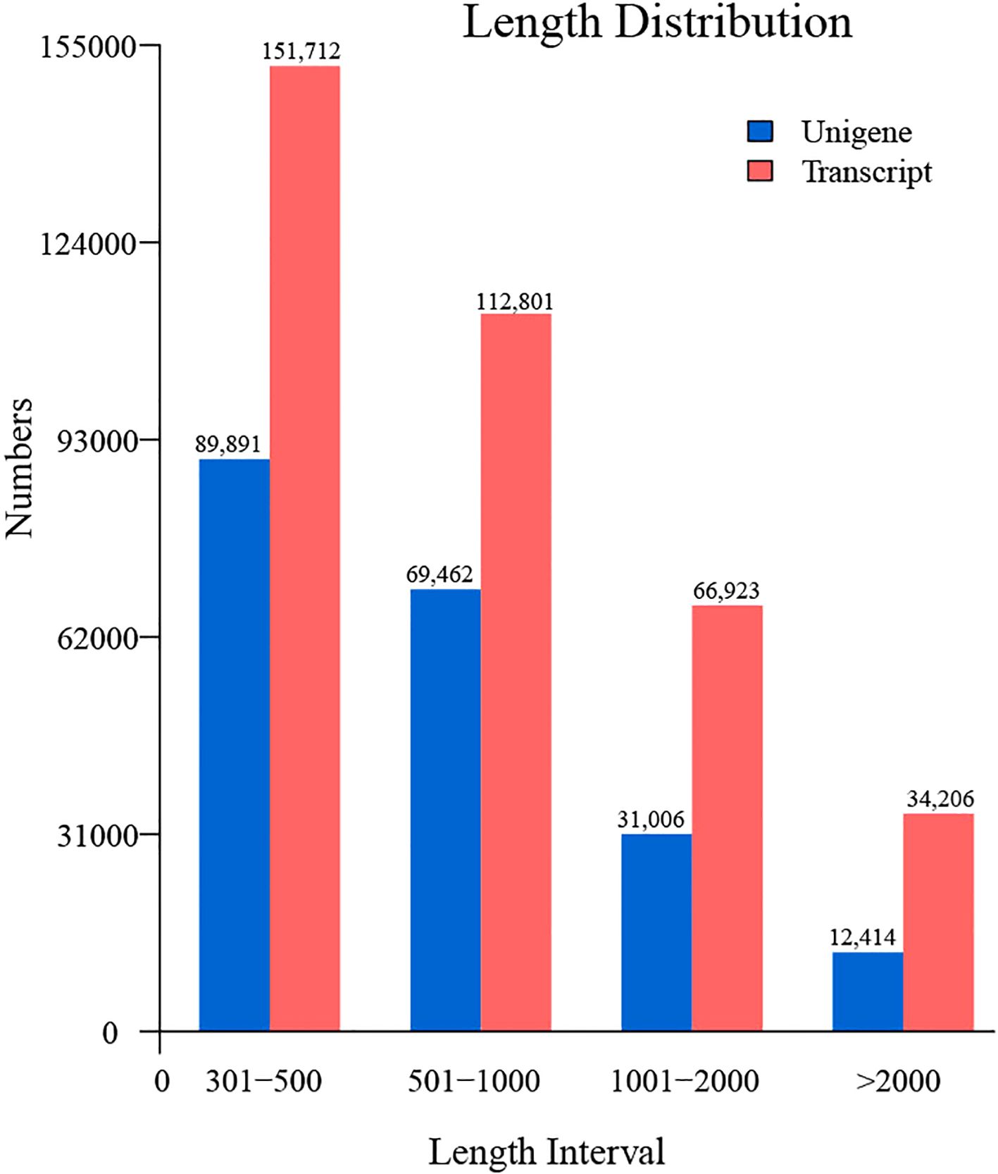 Bar graph titled “Length Distribution” showing numbers of Unigene and Transcript in four length intervals. Unigene is represented in blue and Transcript in red. For 301-500, Unigene has 89,891, Transcript 151,712. For 501-1000, Unigene has 69,462, Transcript 112,801. For 1001-2000, Unigene has 31,006, Transcript 66,923. For >2000, Unigene has 12,414, Transcript 34,206.