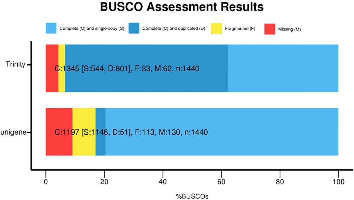 BUSCO Assessment Results bar graph comparing Trinity and Unigene assemblies. Bars are color-coded: light blue for complete and single-copy, blue for complete and duplicated, yellow for fragmented, and red for missing. Trinity shows 1,345 complete, 33 fragmented, and 62 missing out of 1,440, while Unigene has 1,197 complete, 113 fragmented, and 130 missing.