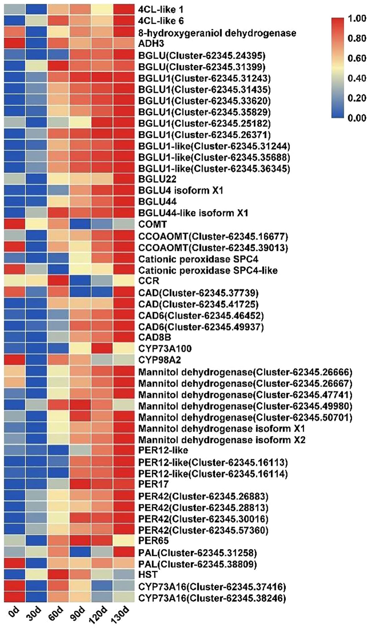 Heatmap showing gene expression levels over time with a gradient from blue (low expression) to red (high expression). Gene names are listed on the right, and time points (0, 30, 60, 90, 120, 130 days) are along the bottom.