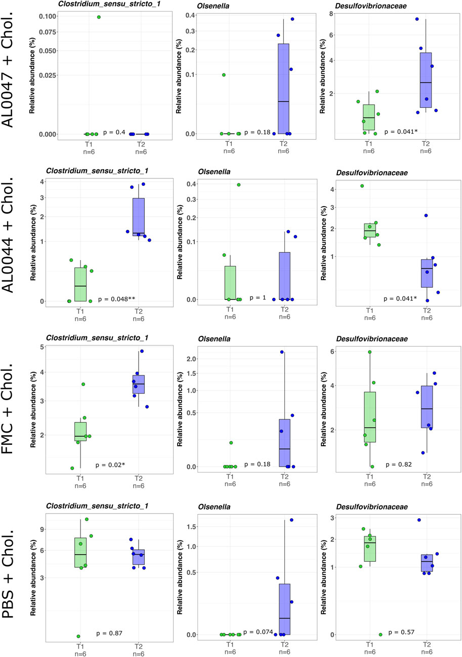 Box plots display the relative abundance (%) of three microbial taxa: *Clostridium sensu stricto 1*, *Olsenella*, and *Desulfovibrionaceae* across different treatments (AL0047, AL0044, FMC, PBS all with cholesterol) over two time points (T1 and T2) with six samples (n=6) each. Significant p-values are noted for some comparisons, indicating potential statistical differences in microbial abundance between T1 and T2.