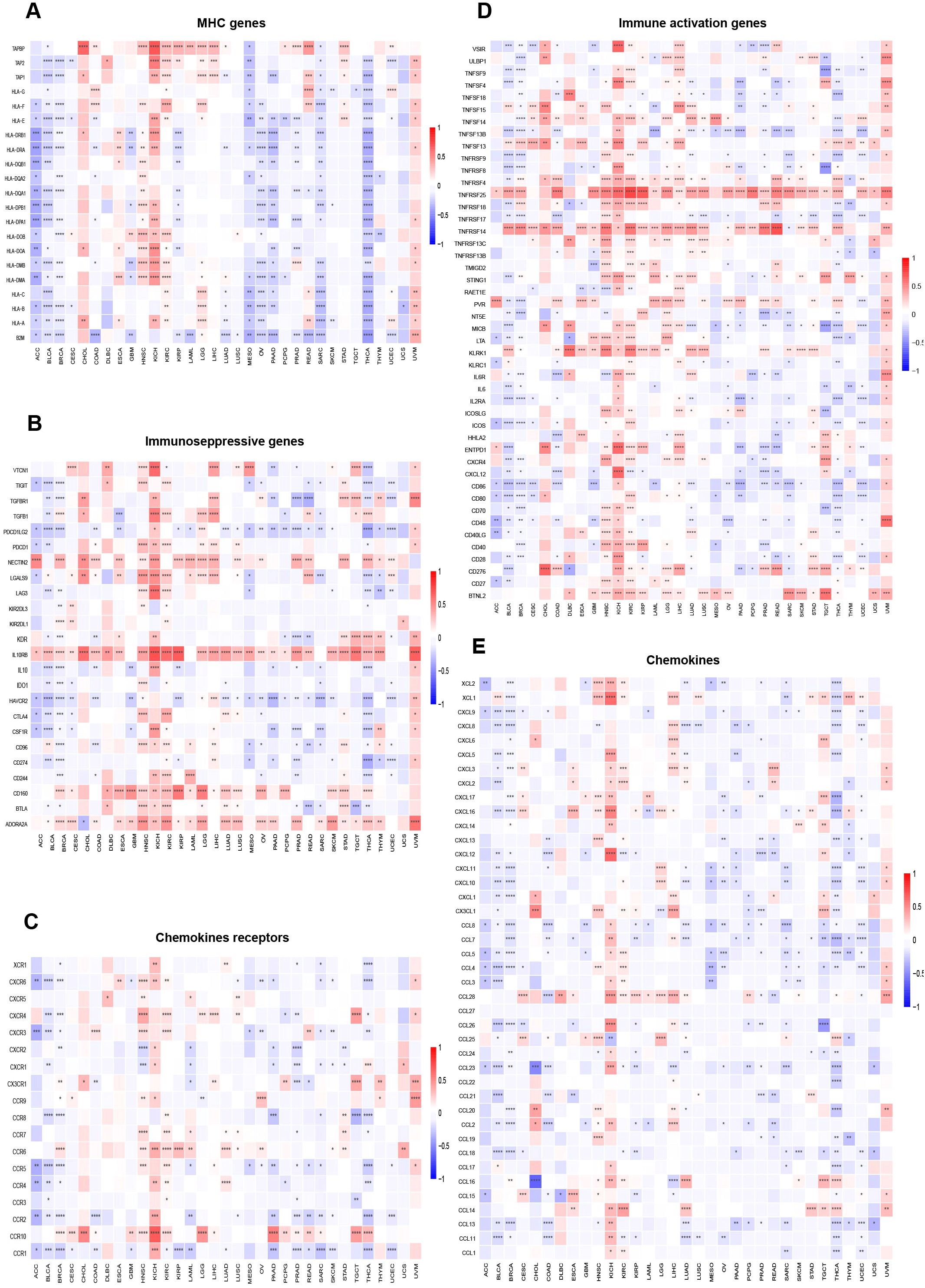 Heatmaps display gene expression data across various cancer types. Panels (A) to (E) represent different gene categories: MHC genes, immunosuppressive genes, chemokines receptors, immune activation genes, and chemokines. Red indicates high expression, blue indicates low expression. The color scale ranges from -1.5 to 1.5. Each panel includes numerous genes listed vertically and cancer types horizontally.