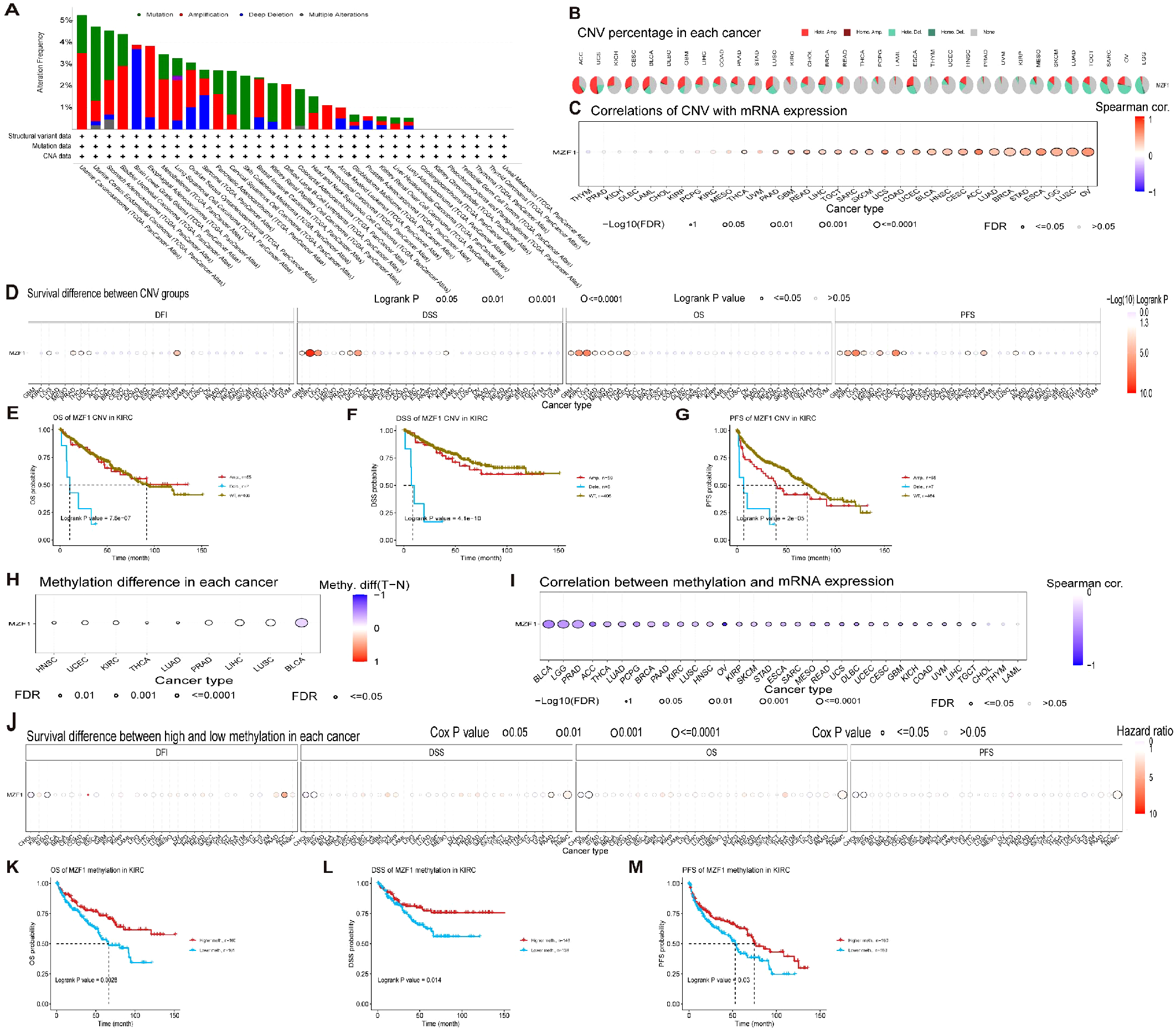 Composite image displaying various charts and graphs analyzing CNV, methylation, and gene expression across cancer types. Graphs include bar plots, survival curves, and correlation matrices, highlighting significant differences and associations in genomic data. Elements are labeled with statistical values like FDR and Spearman correlations.