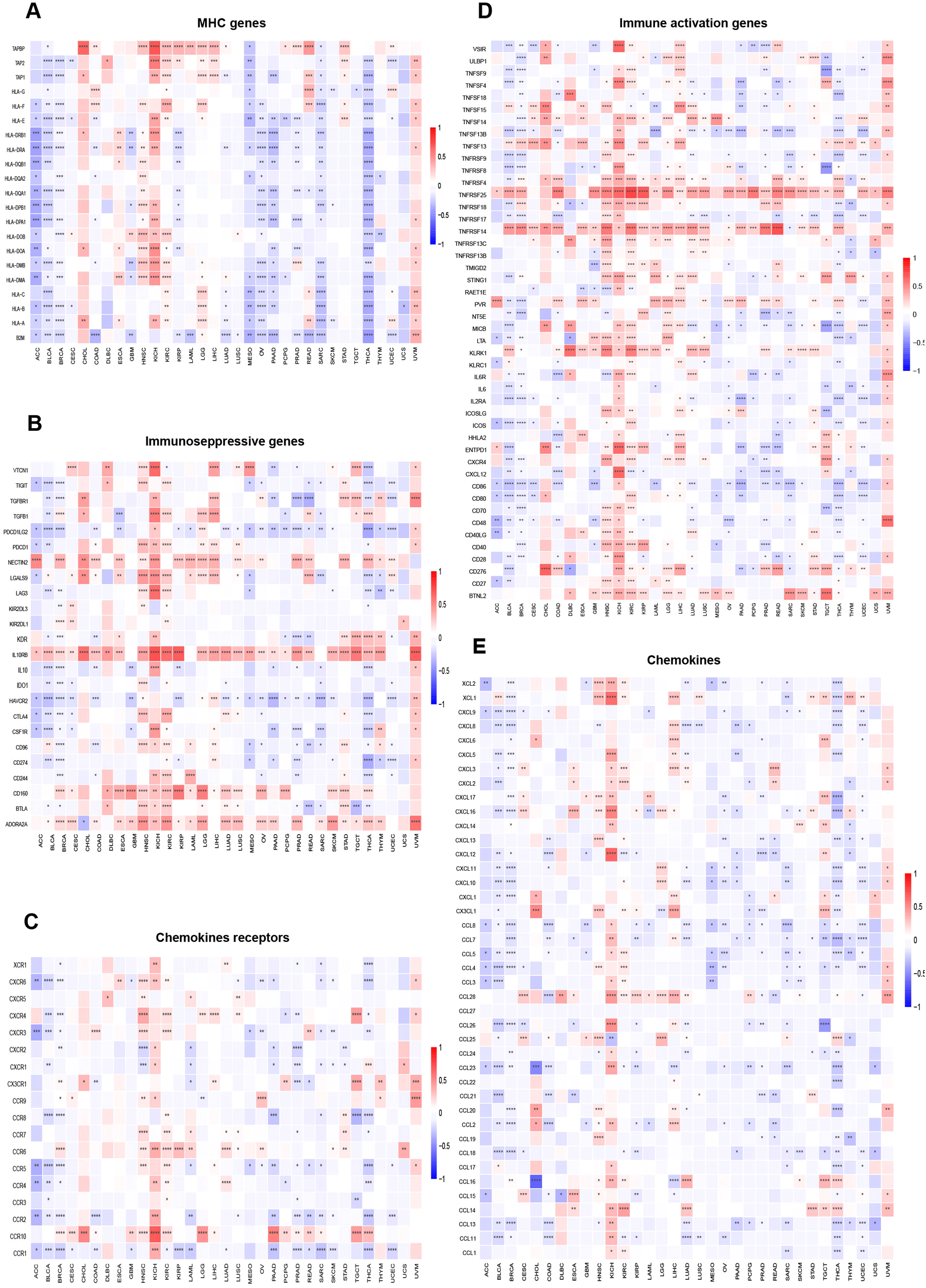 Heatmaps display gene expression data across various cancer types. Panels (A) to (E) represent different gene categories: MHC genes, immunosuppressive genes, chemokines receptors, immune activation genes, and chemokines. Red indicates high expression, blue indicates low expression. The color scale ranges from -1.5 to 1.5. Each panel includes numerous genes listed vertically and cancer types horizontally.