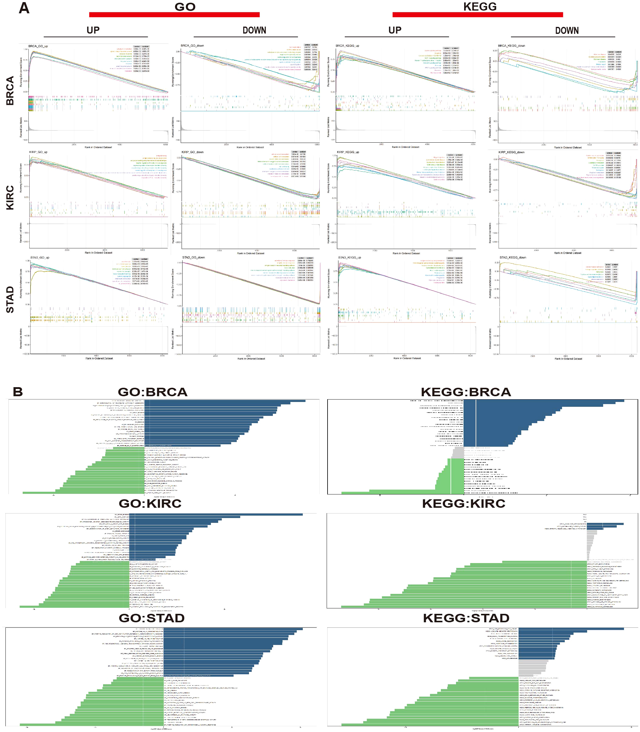 Panel A shows enrichment plots for gene set enrichment analysis (GSEA) for BRCA, KIRC, and STAD across GO and KEGG categories, illustrating upregulated and downregulated gene sets. Panel B presents bar charts of the top gene ontology (GO) and KEGG pathway enrichments for BRCA, KIRC, and STAD. Positive and negative enrichments are represented by blue and green bars respectively.