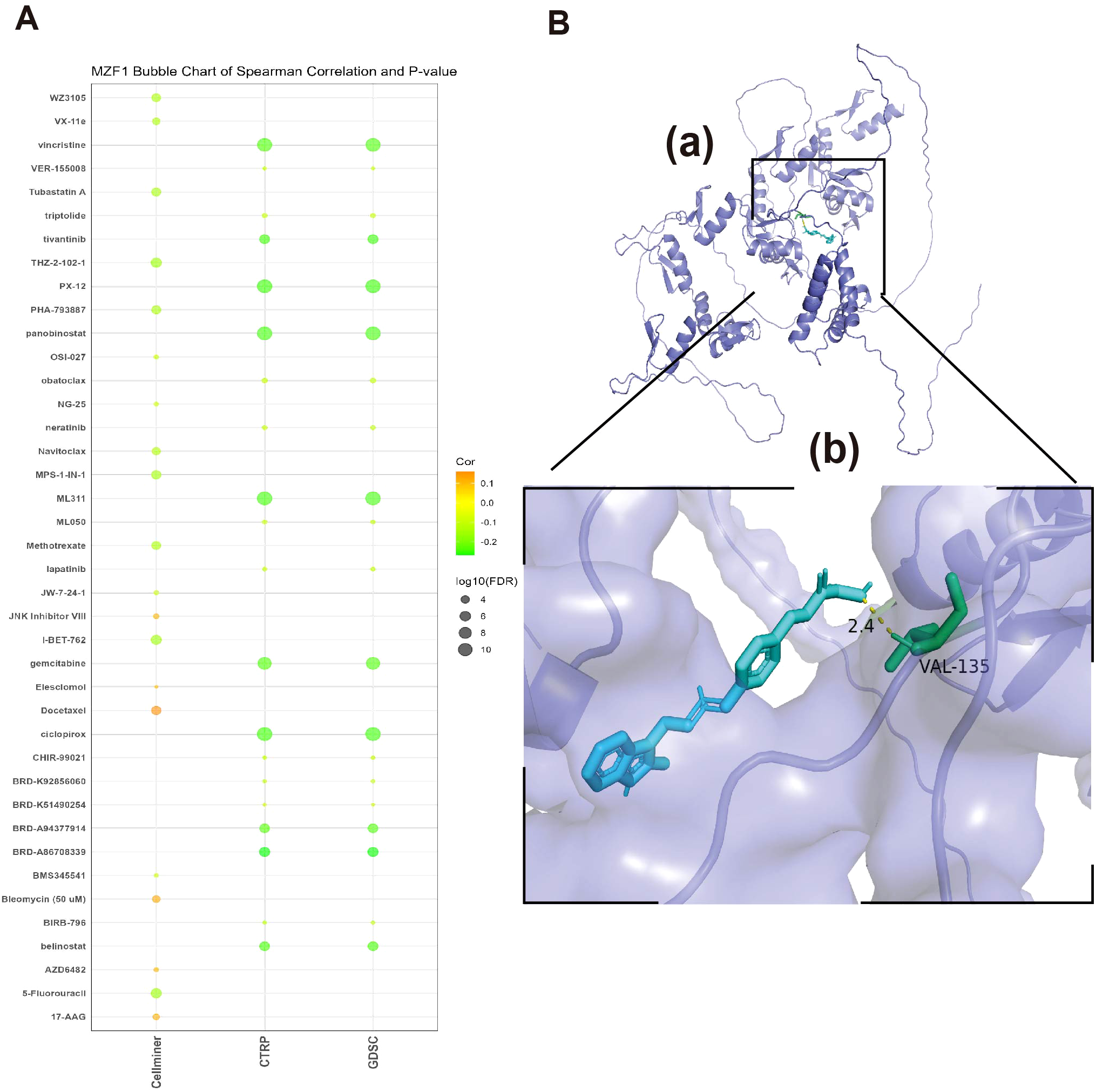 Panel A features a bubble chart showing Spearman correlation and p-values for various compounds across datasets, with circle sizes representing significance. Panel B displays a molecular structure. Sub-panel (a) shows the overall structure, while sub-panel (b) zooms in on a ligand binding site, highlighting a 2.4 angstrom interaction with VAL-135.
