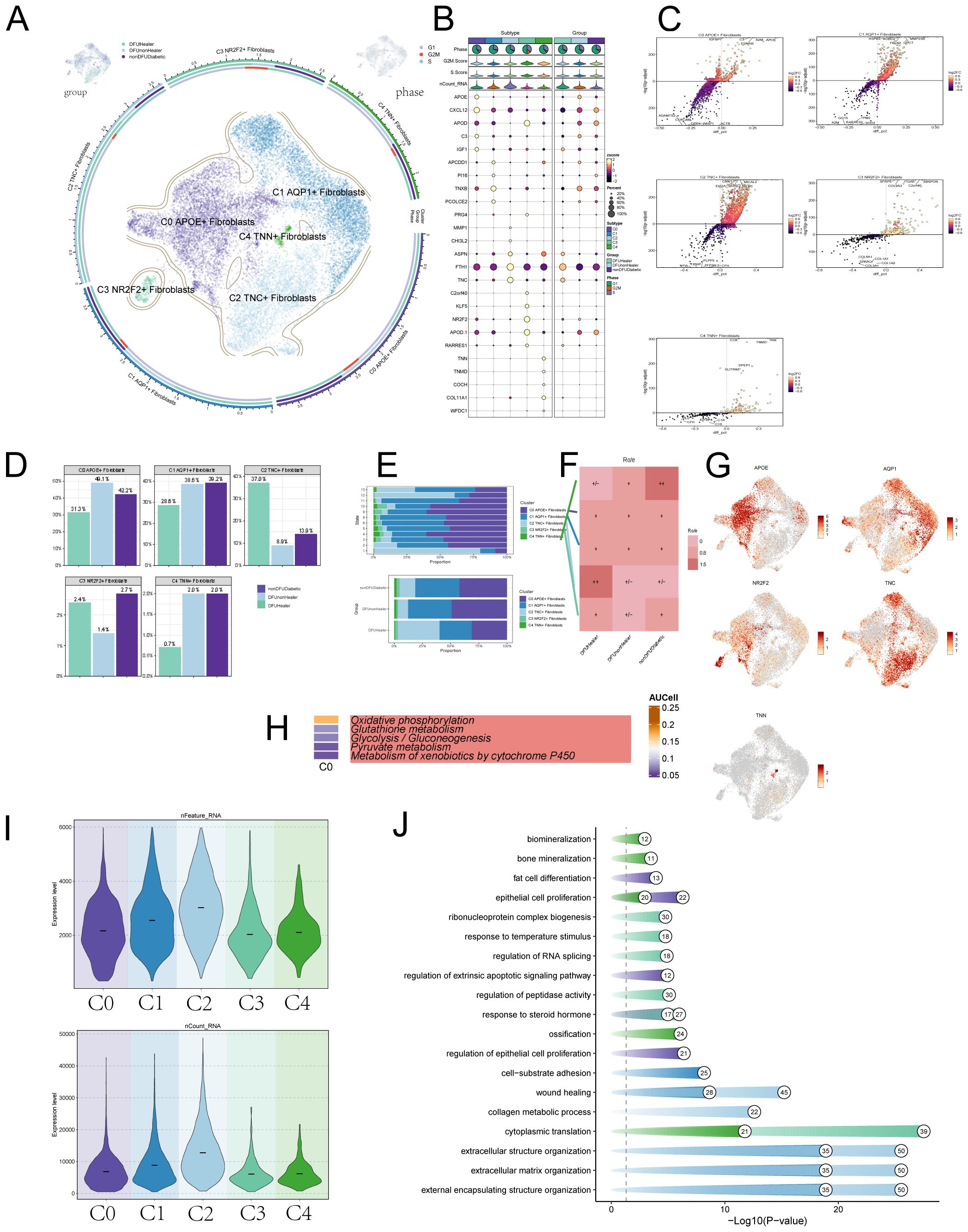 A multi-panel scientific figure showing clustered fibroblast data. Panel A displays fibroblast subtypes with a circular diagram. Panel B features a dot plot of gene expression across subtypes. Panel C contains scatter plots of cellular distribution. Panel D presents bar charts comparing subtype proportions. Panel E shows stacked bar charts of sample origins. Panel F is a heat map of gene expression correlations. Panel G includes spatial maps of gene expression. Panel H provides a legend for metabolic pathways. Panel I exhibits violin plots of gene expression for each subtype. Panel J contains a bar chart of significantly enriched pathways.