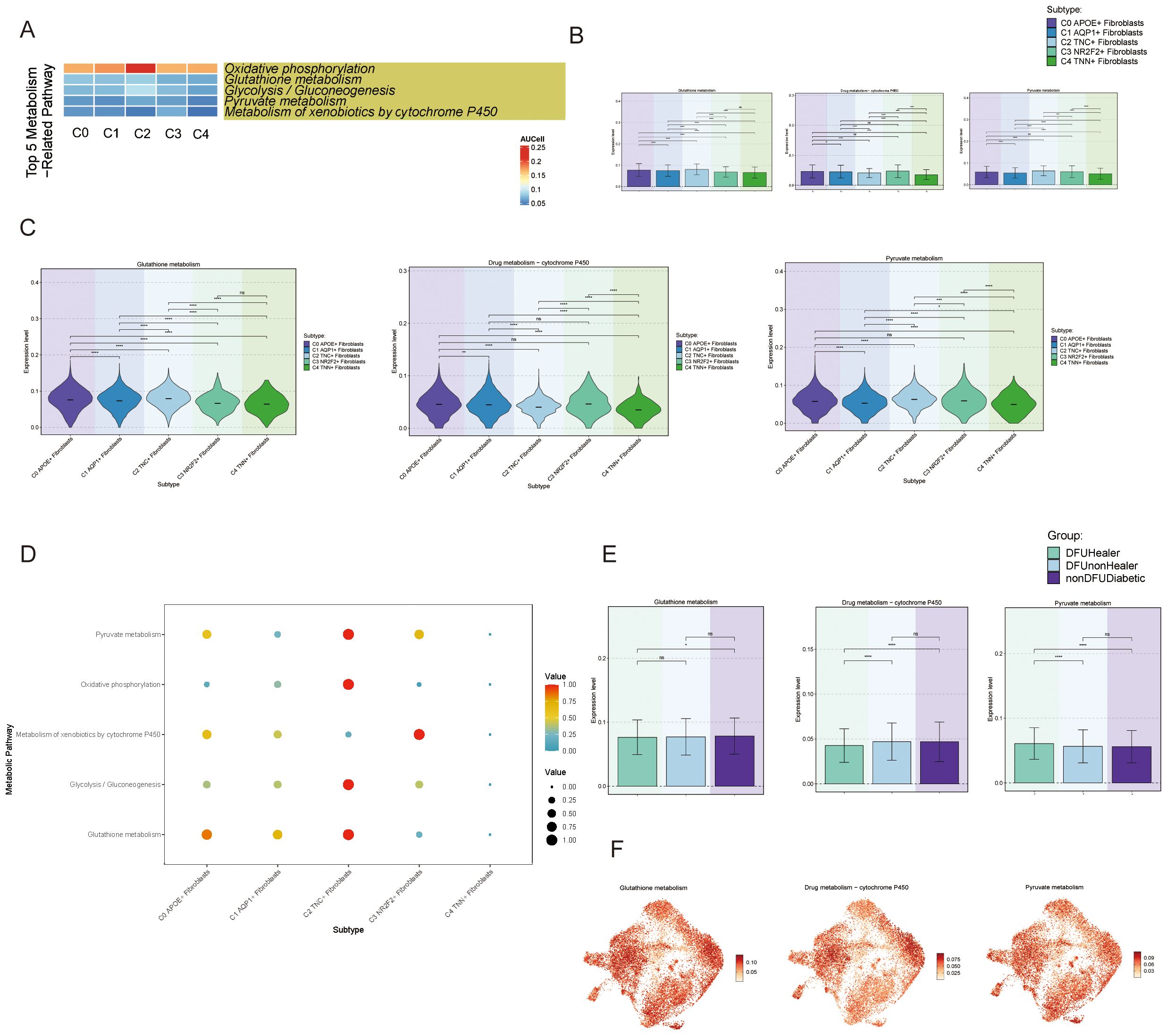The image contains several panels depicting various data visualizations related to metabolism pathways and subtypes. Panel A shows a heatmap representing pathway activities across different conditions. Panel B features multiple violin plots showing pathway expression levels in various subtypes. Panel C includes additional violin plots comparing different metabolic pathways. Panel D displays a bubble chart indicating values for each subtype and metabolic pathway, with color and size variations. Panel E presents bar graphs summarizing expression levels across groups. Panel F contains three scatter plots illustrating spatial distribution of metabolism activities.