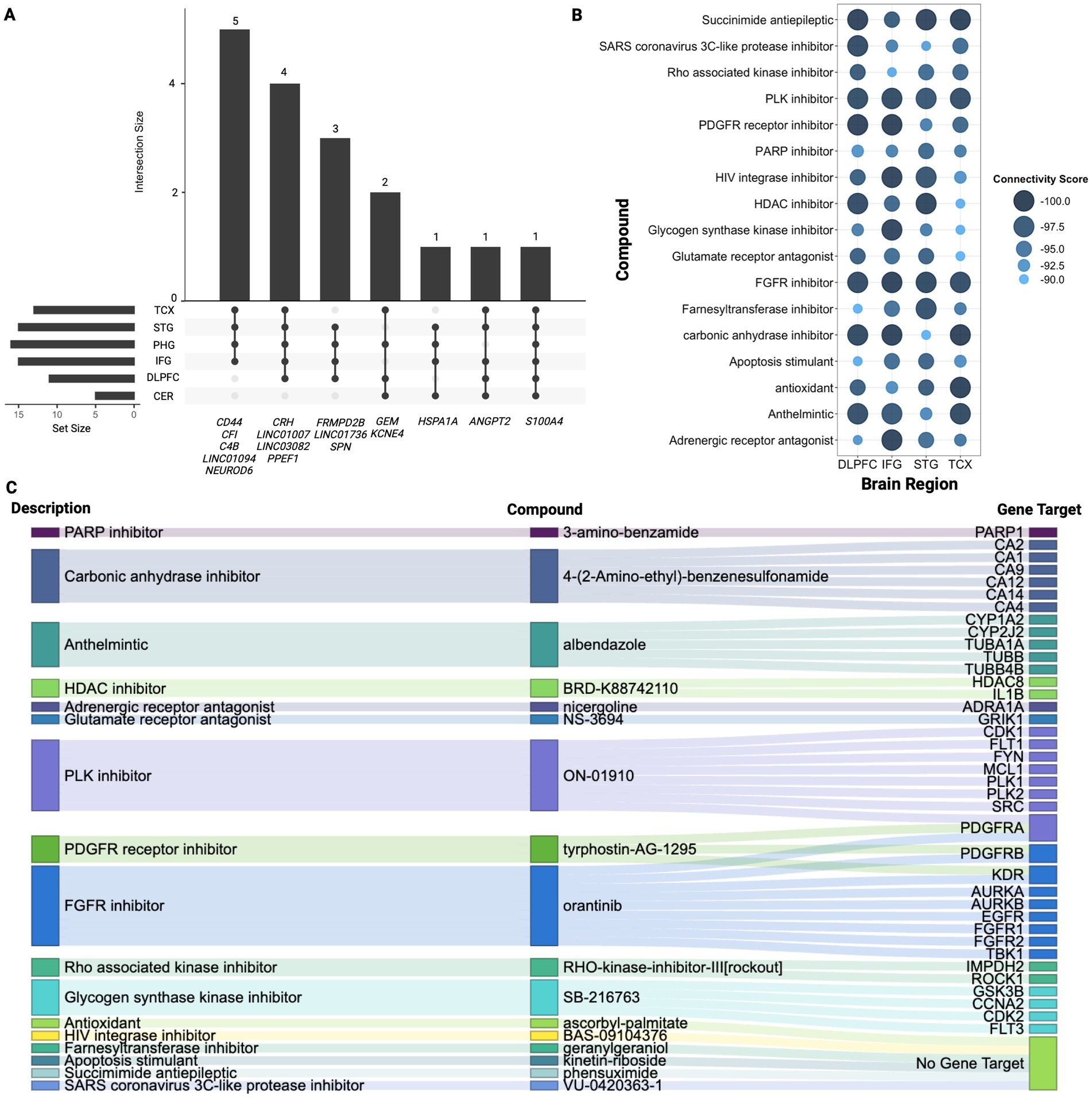 A three-panel figure showing (A) Upset plot showing overlapping genes across four or more regions, with vertical bars indicatingshared gene counts between region combinations and horizontal barsshowing individual region contributions. (B) CMAP analysis summary identifying 17 shared compounds across temporal cortex (TCX), superiortemporal gyrus (STG), inferior frontal gyrus (IFG) and dorsolateral prefrontalcortex (DLPFC) where larger, darker bubbles represent stronger reversal ofAD signatures. (C) Sankey plot mapping drug classes of the 17 compoundsalongside their CMAP-derived gene targets, illustrating therapeuticconnections across the four regions.
