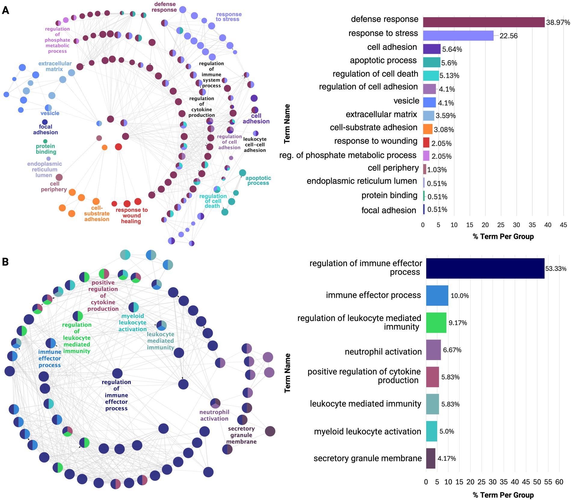Functional enrichment analysis for (A) parahippocampal gyrus (PHG) and (B) superior temporal gyrus (STG) shows overlapping stress and immune responses, with PHG enriched for neuroinflammatory processes and STG for immune eCector processes. Color-coded nodesrepresent enriched pathways grouped by functional similarity, while edgesreflect gene-based relationships. Significant terms are highlighted by geneinvolvement, and the accompanying bar chart shows the proportion of eachdysregulated pathway within the network
