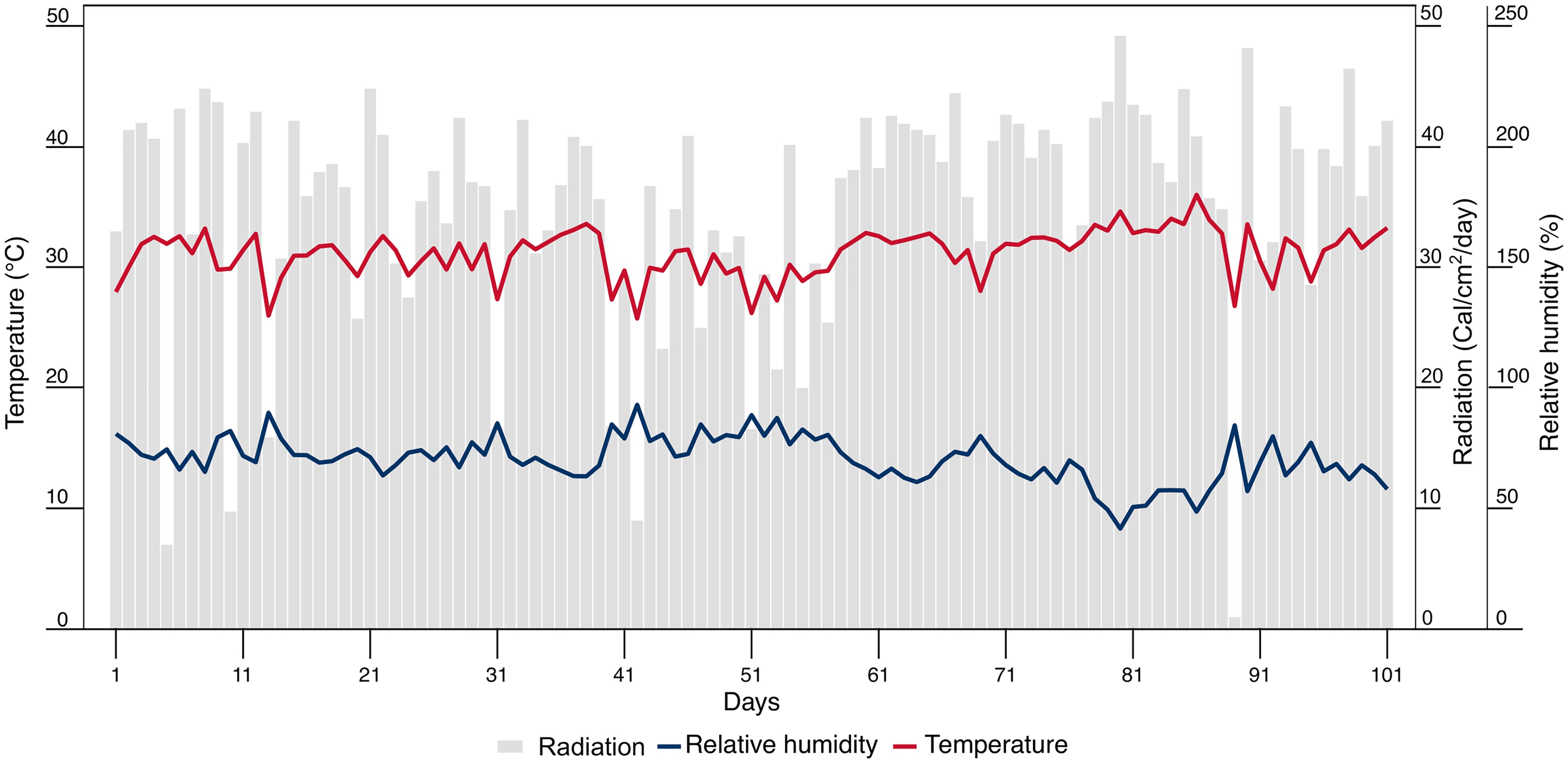 Graph showing temperature, relative humidity, and radiation over 101 days. Temperature in red ranges from 20°C to 35°C, relative humidity in blue fluctuates between 40% and 80%, and radiation in grey bars varies from 0 to 250 cal/cm²/day.